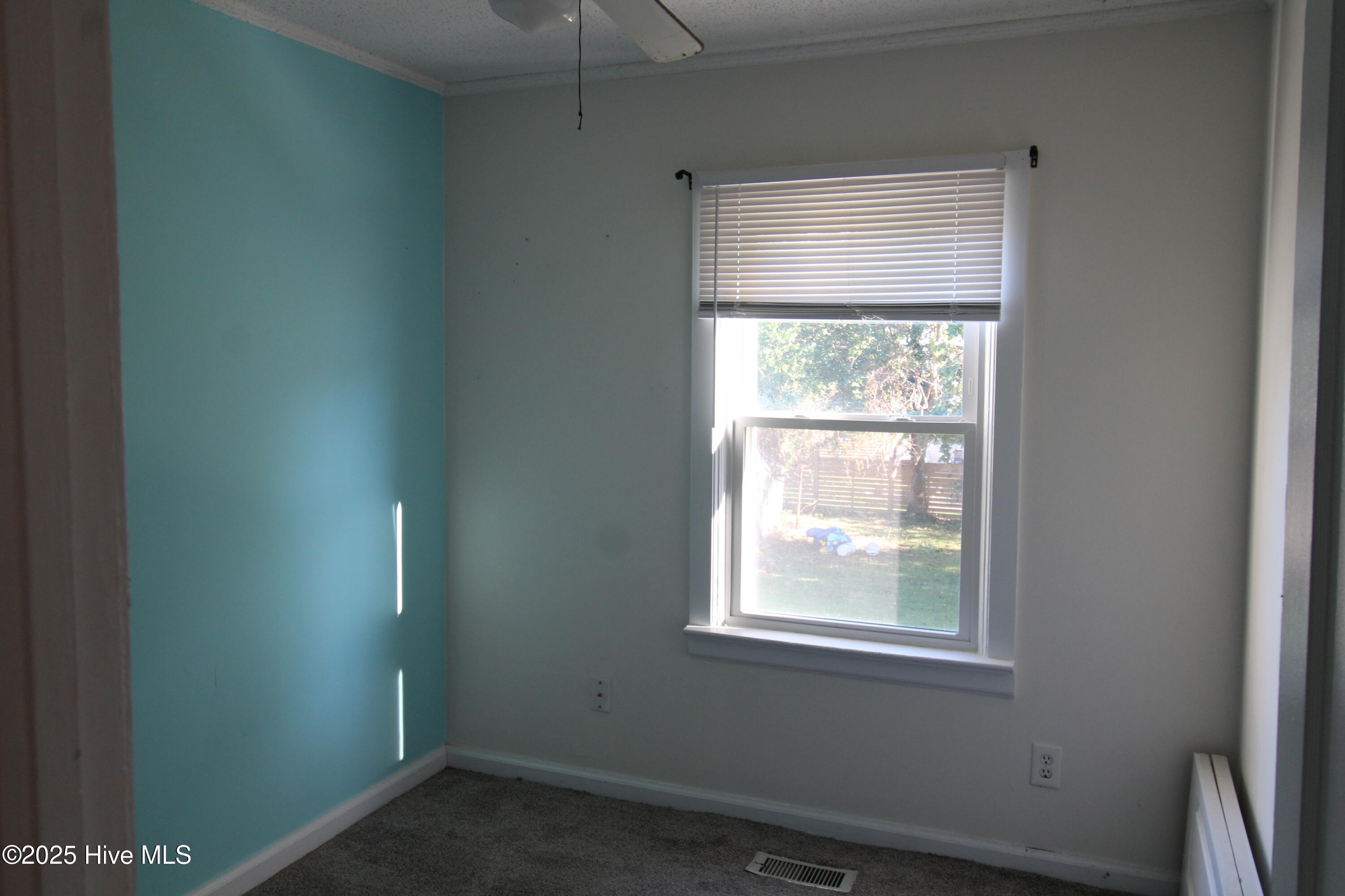 100539657 | Photo 17