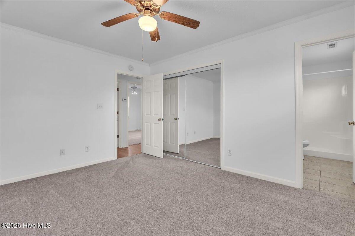 100552346 | Photo 30