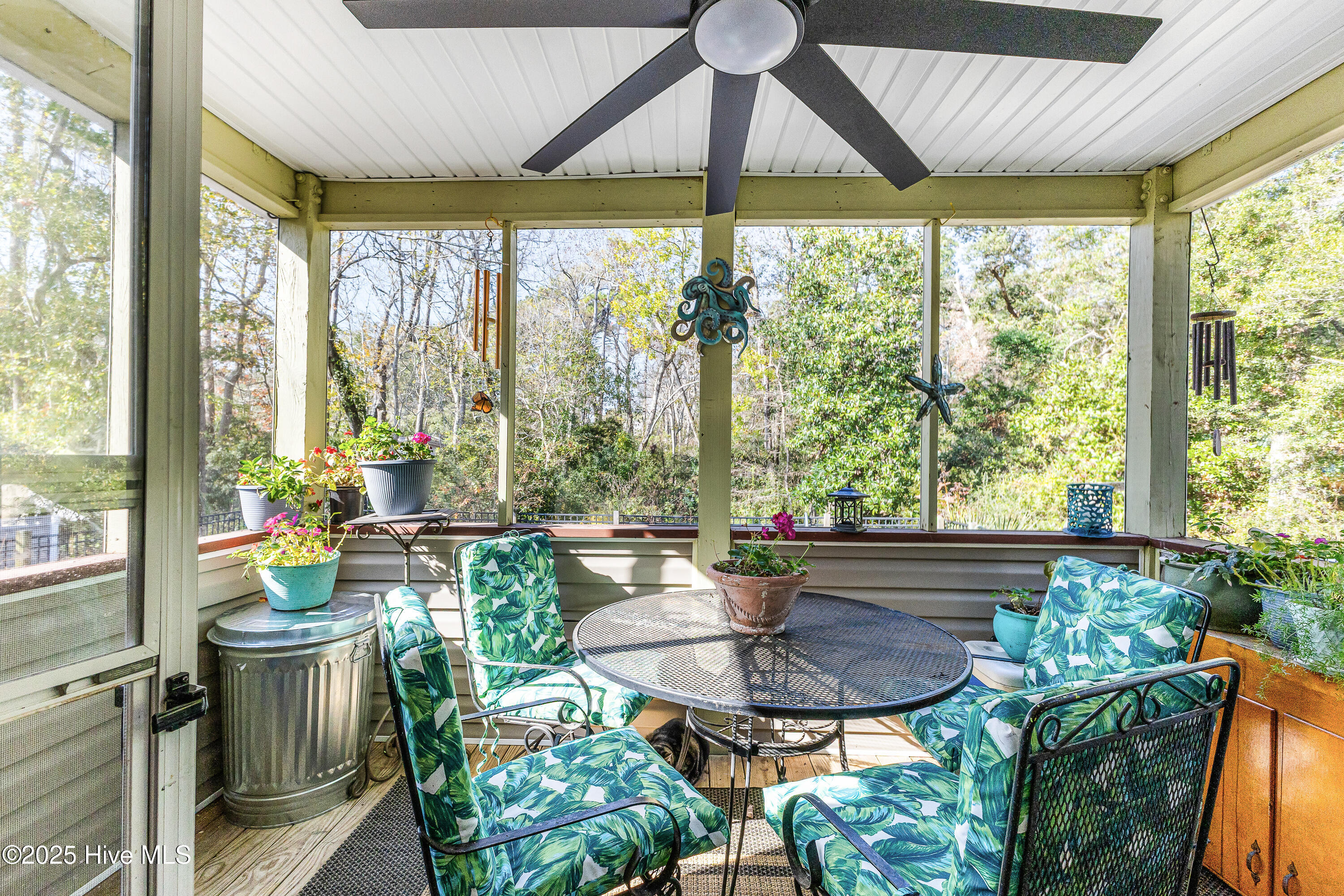 100543271 | Photo 29