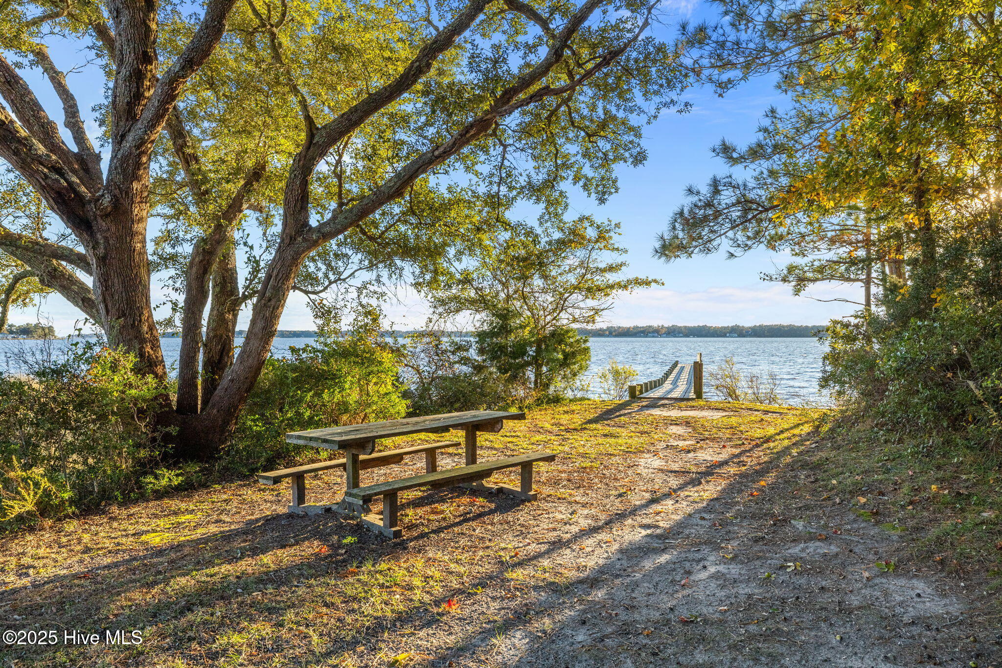 100540758 | Photo 46