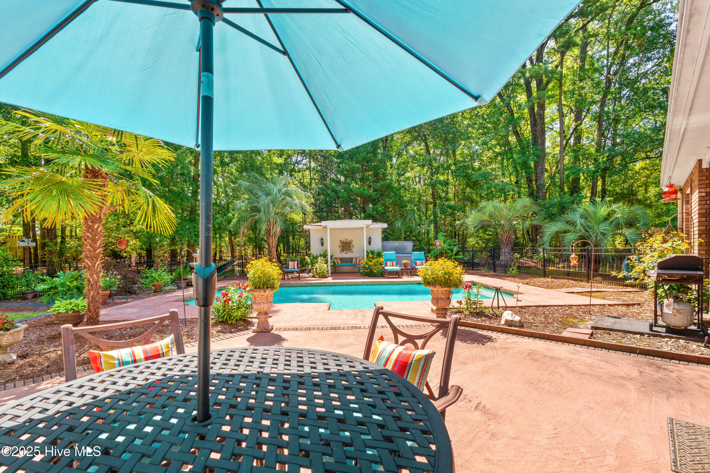 100515371 | Photo 23