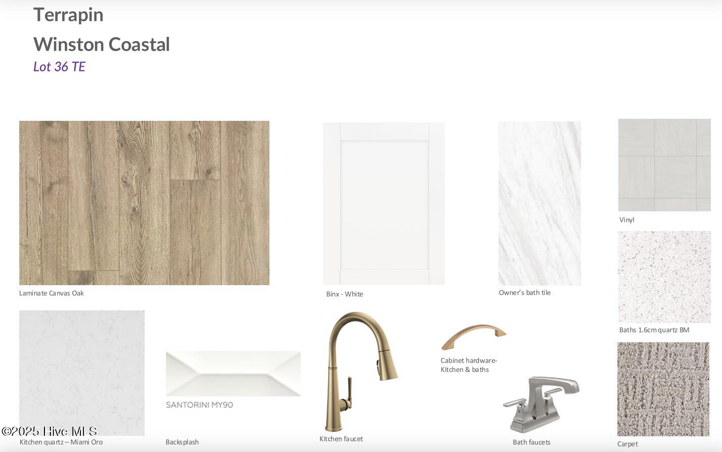 100516667 | Photo 24