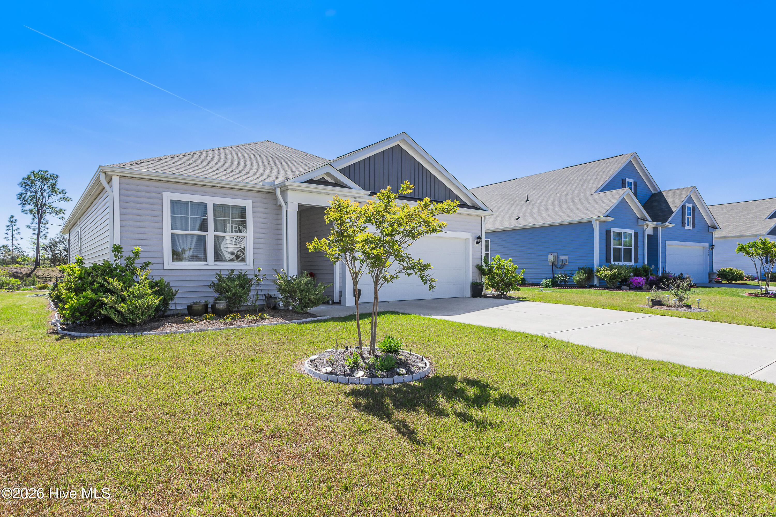 100566336 | Photo 11