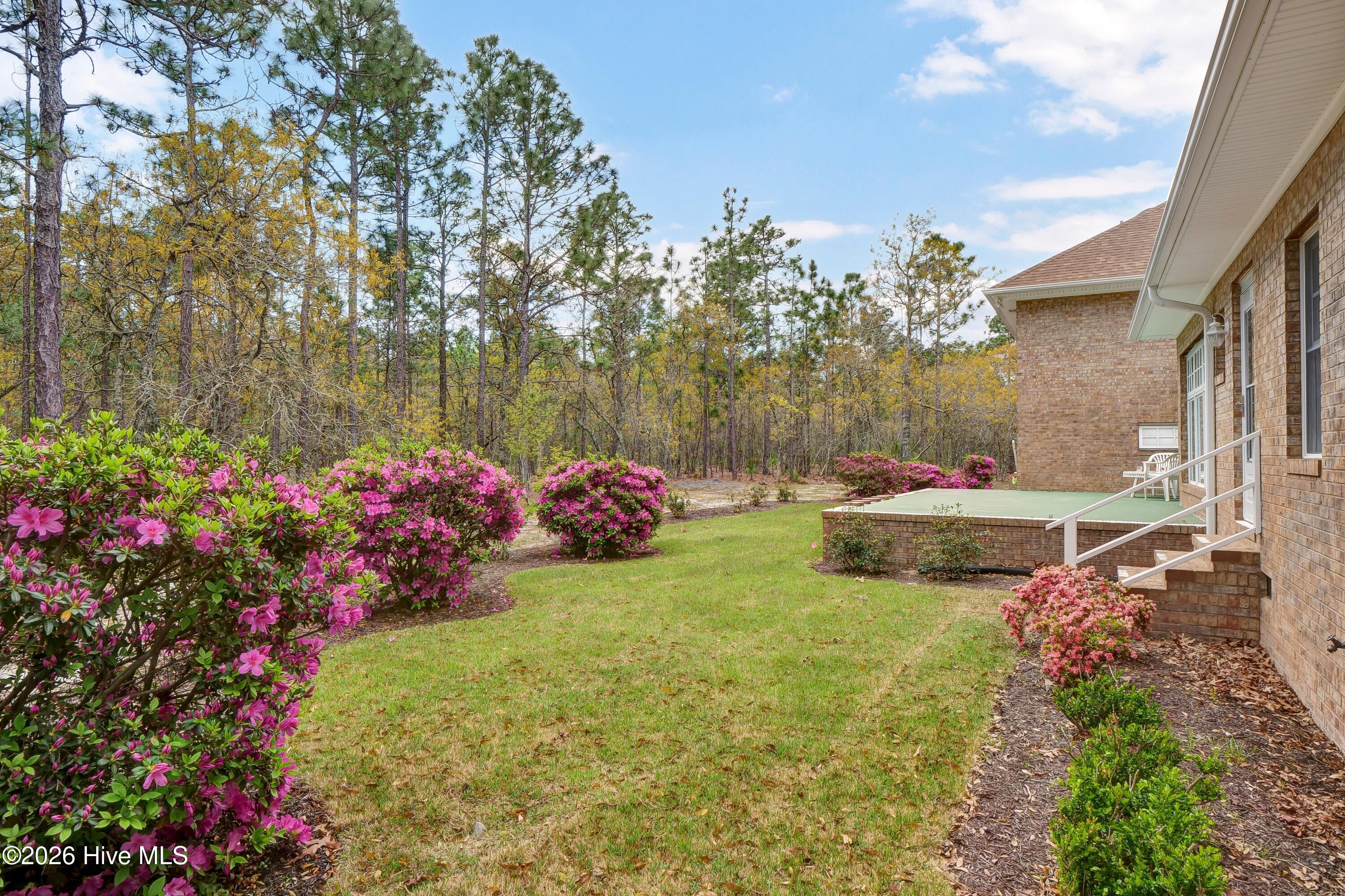 100564382 | Photo 25