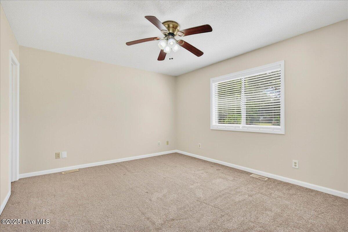 100531435 | Photo 22