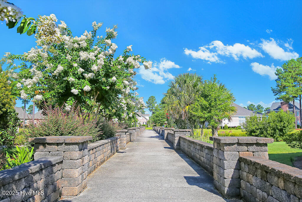 100544404 | Photo 60