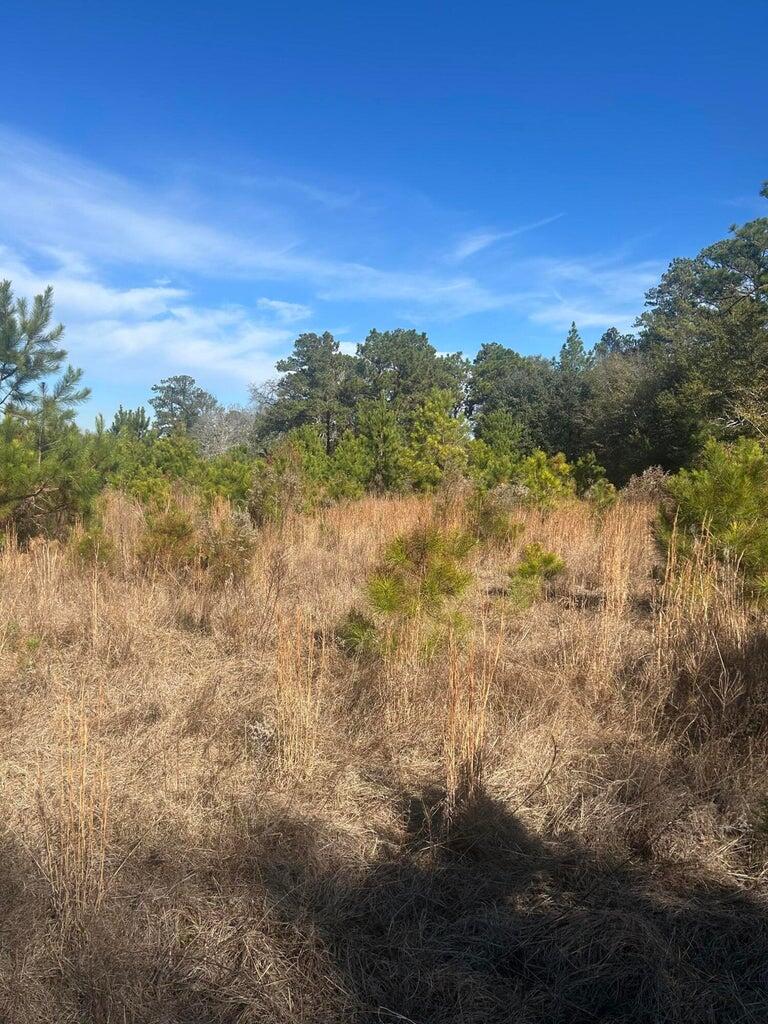 00 Fairway Drive, New Ellenton, SC, 29809