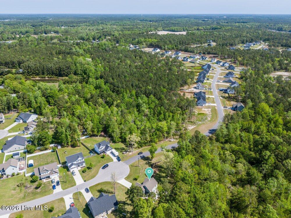 100567817 | Photo 34