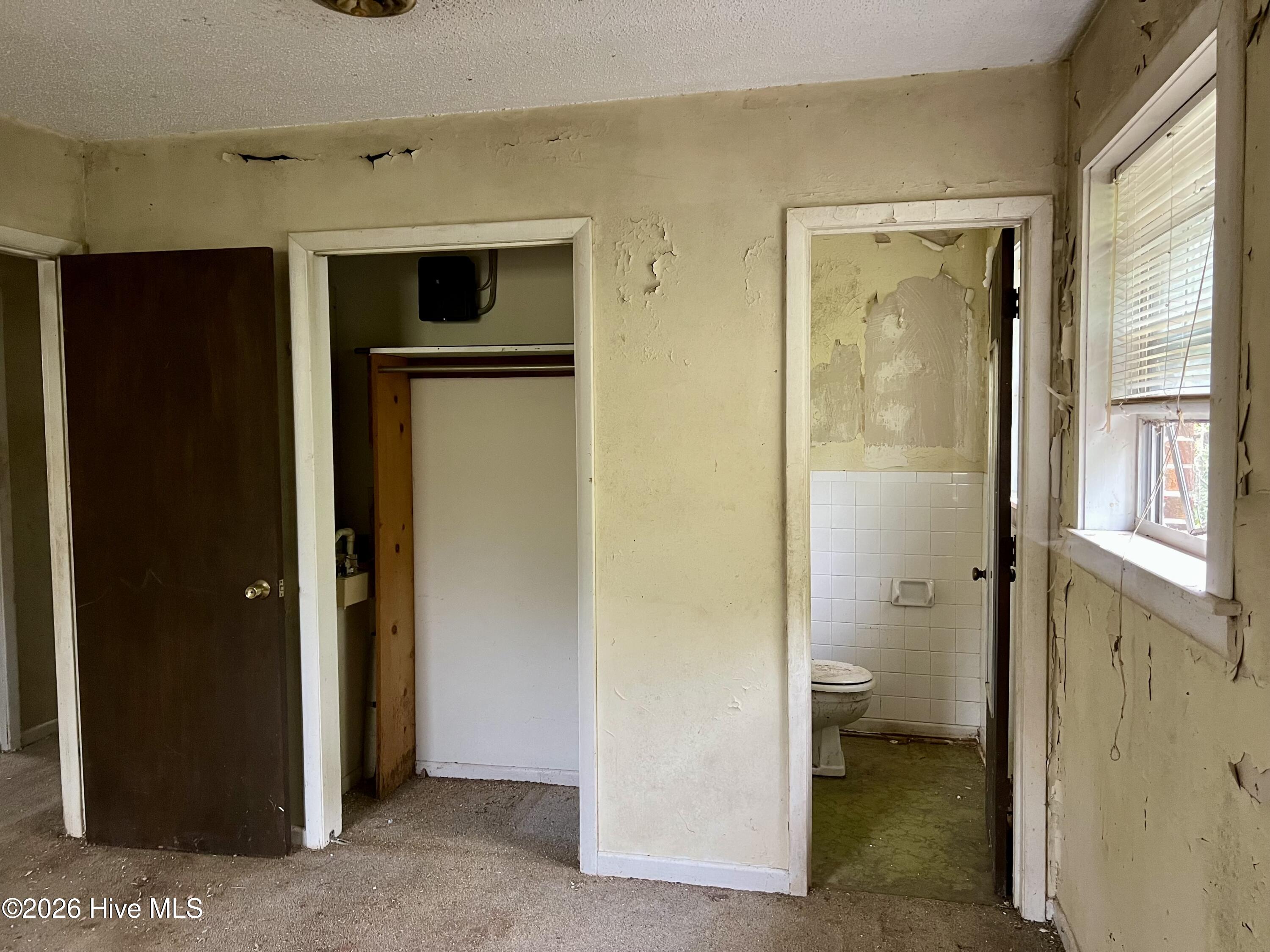 100562853 | Photo 19