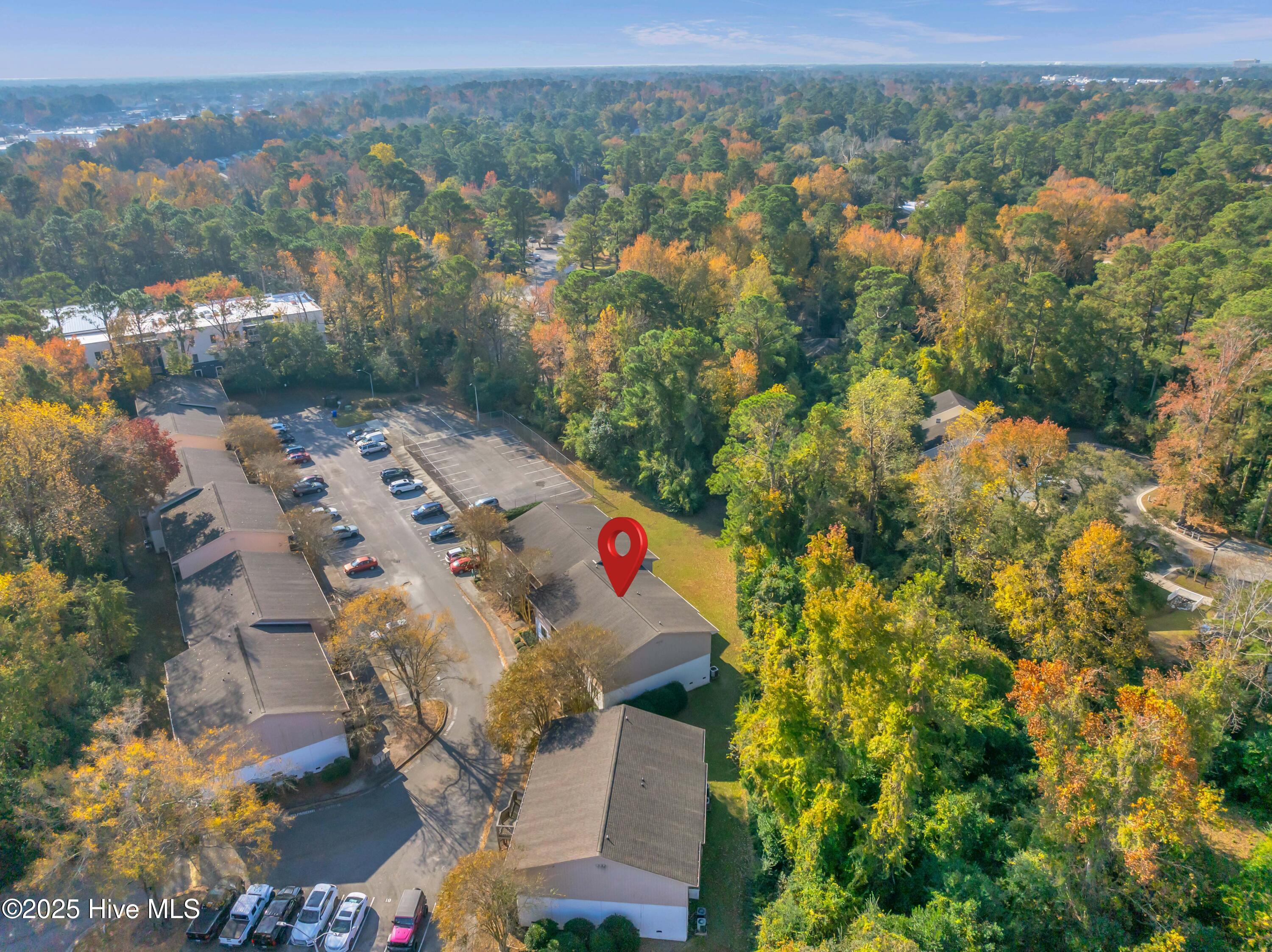 100542371 | Photo 22