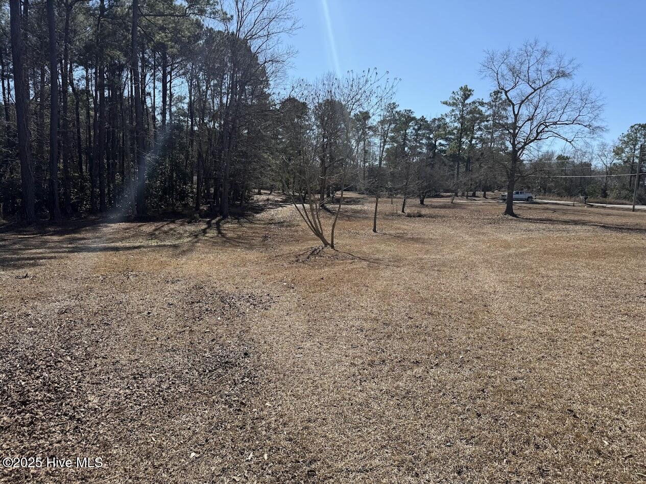 100486330 | Photo 17