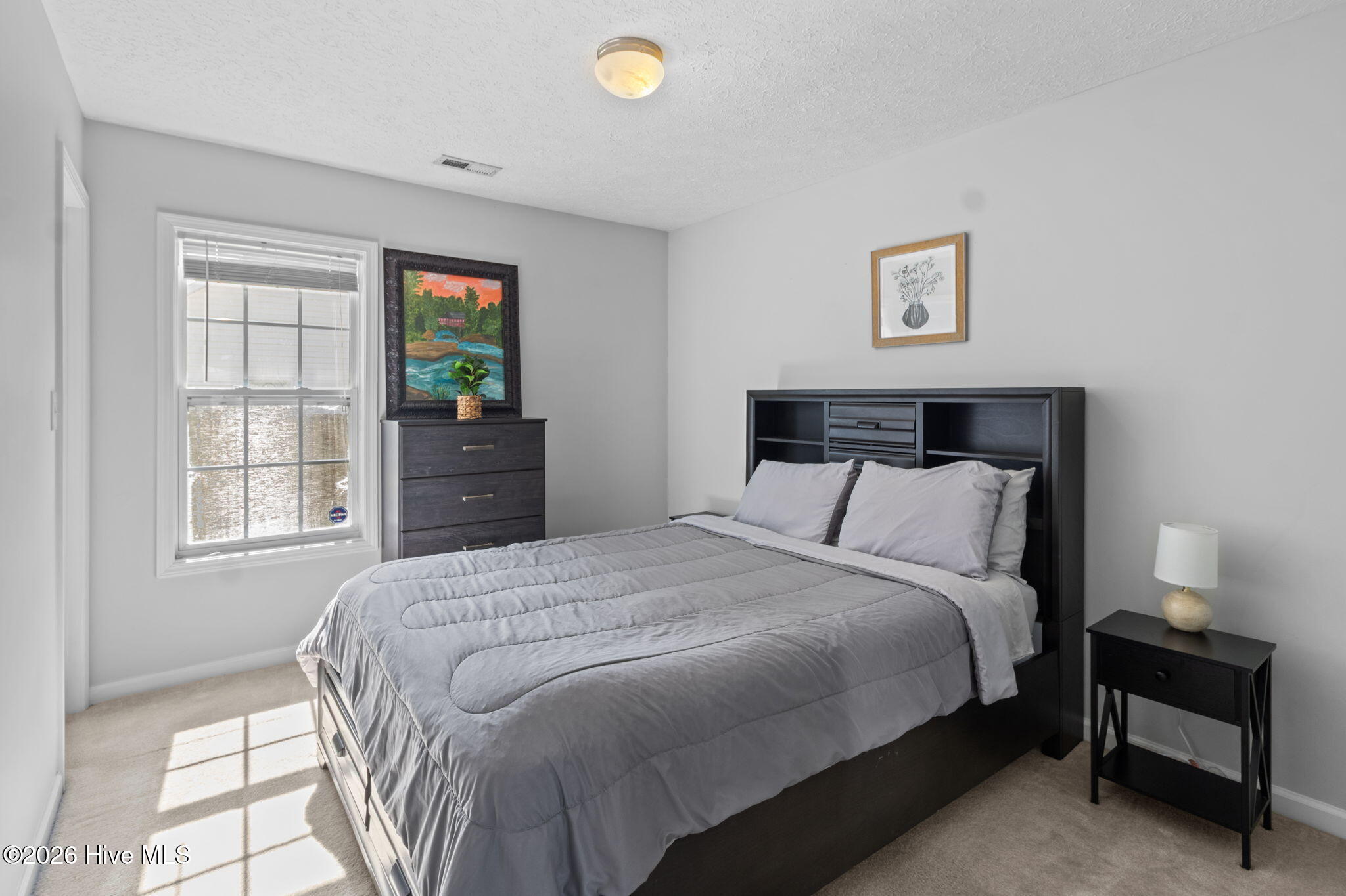 100561998 | Photo 23