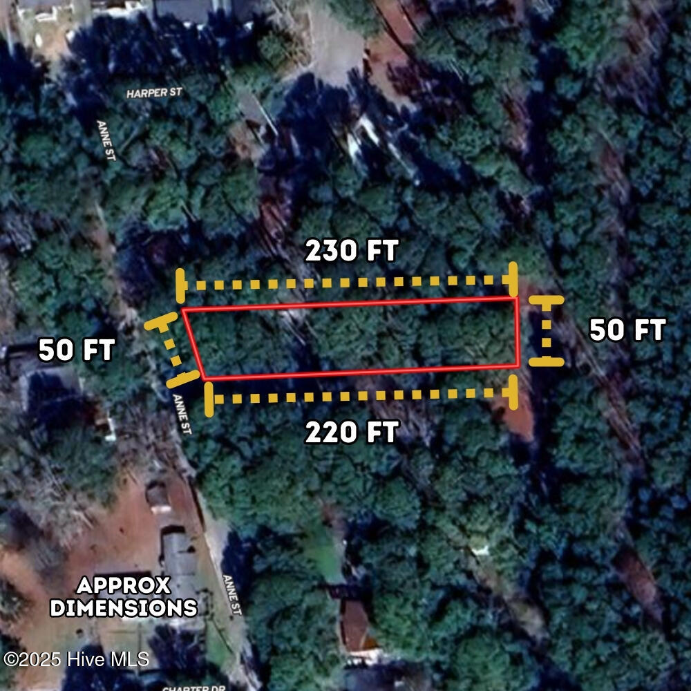 2_photo-1319-anne-street