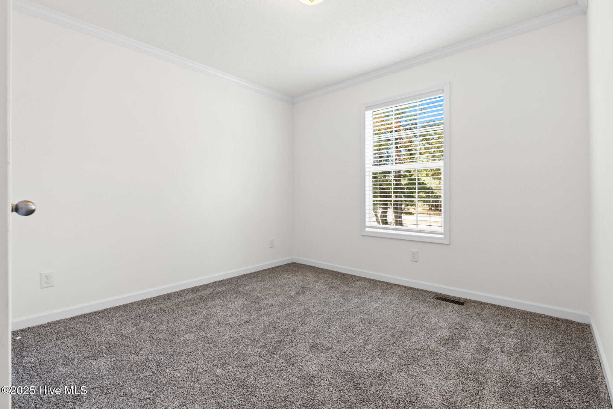 100542585 | Photo 22