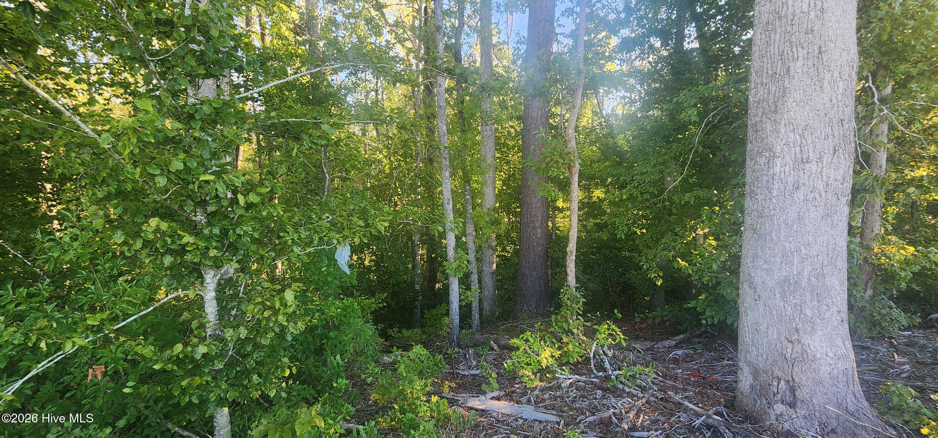3005 Yellowfin Drive,New Bern