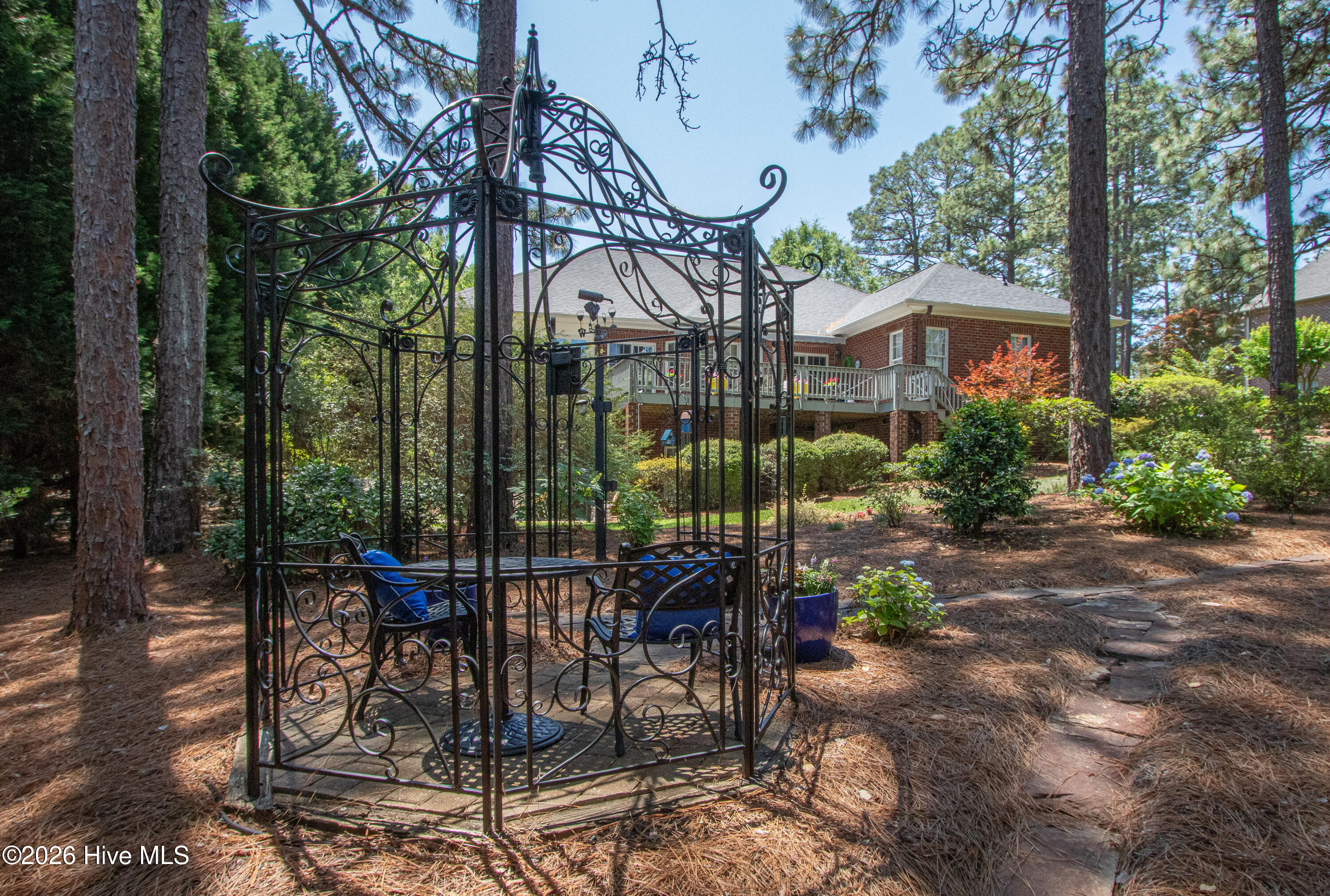 BackYard4