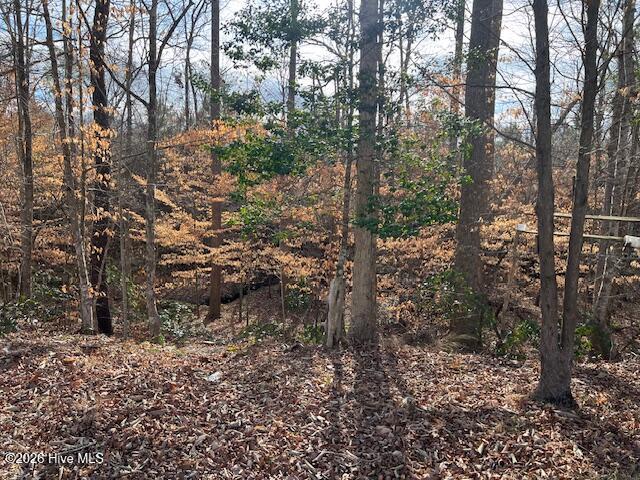 100552837 | Photo 25