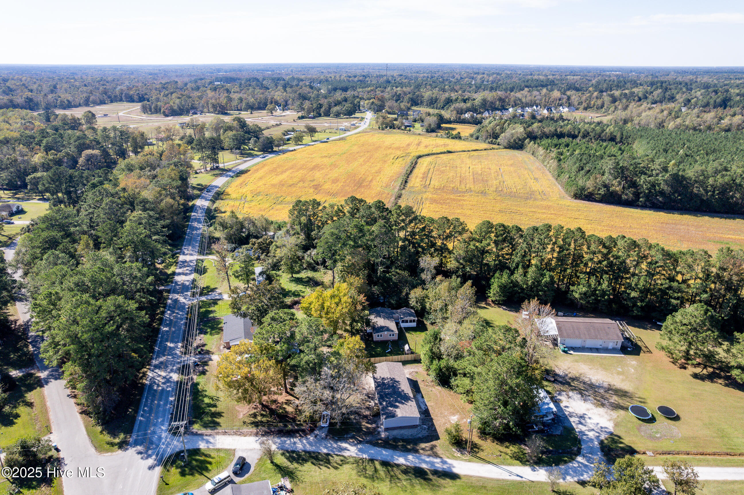 100537518 | Photo 34