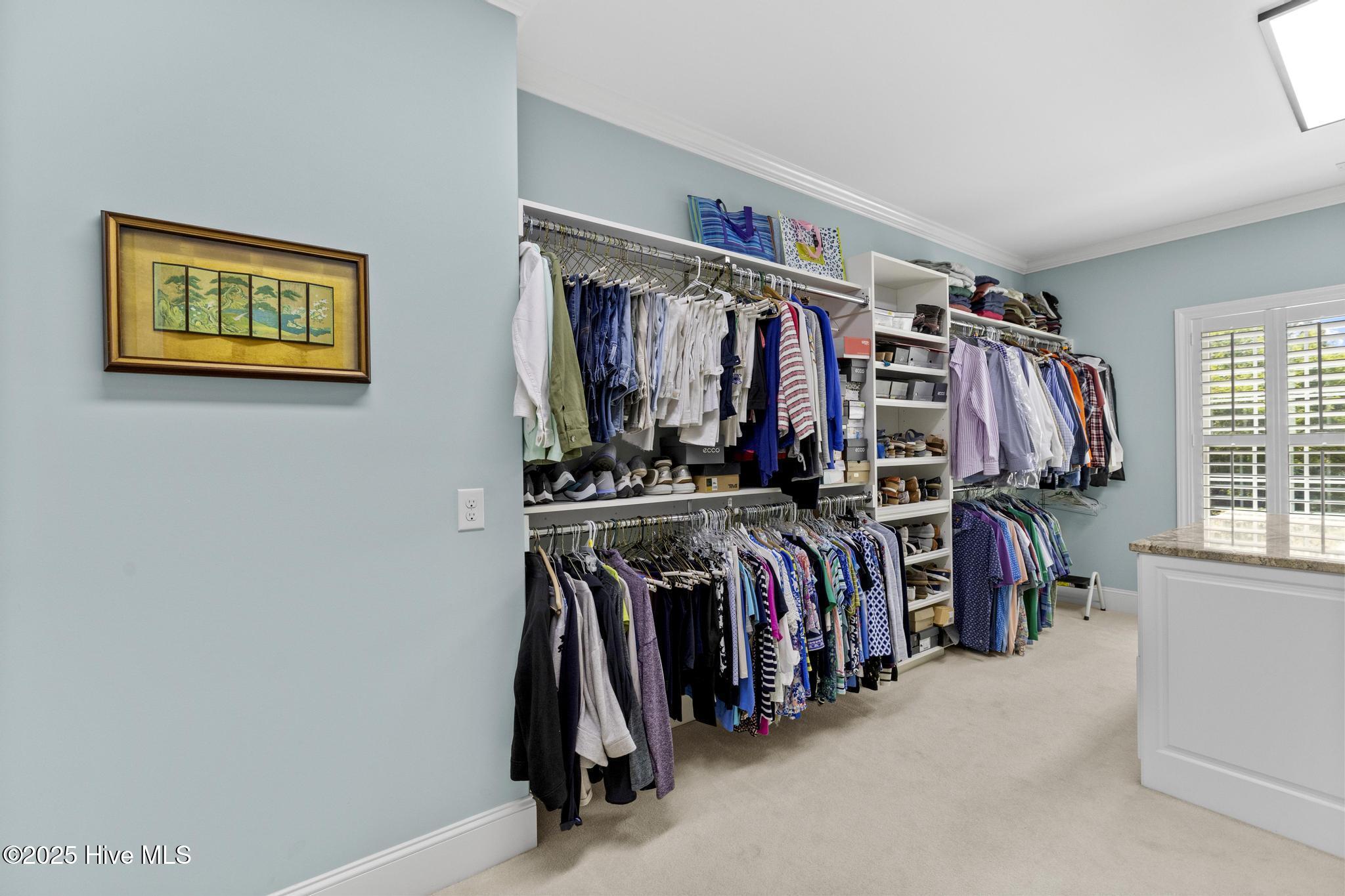 100567588 | Photo 23