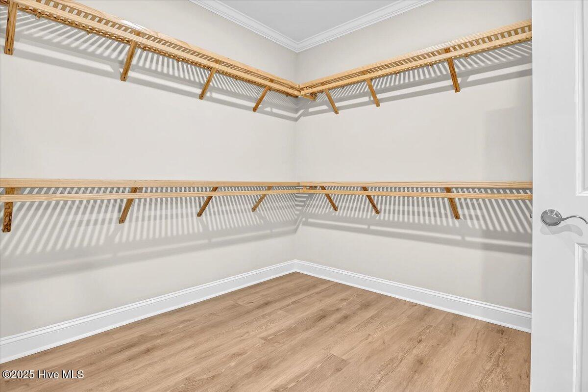 100505838 | Photo 42