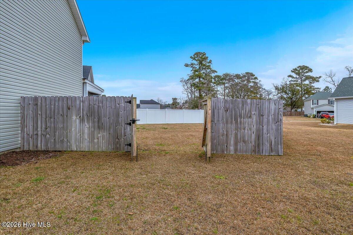 100558100 | Photo 56