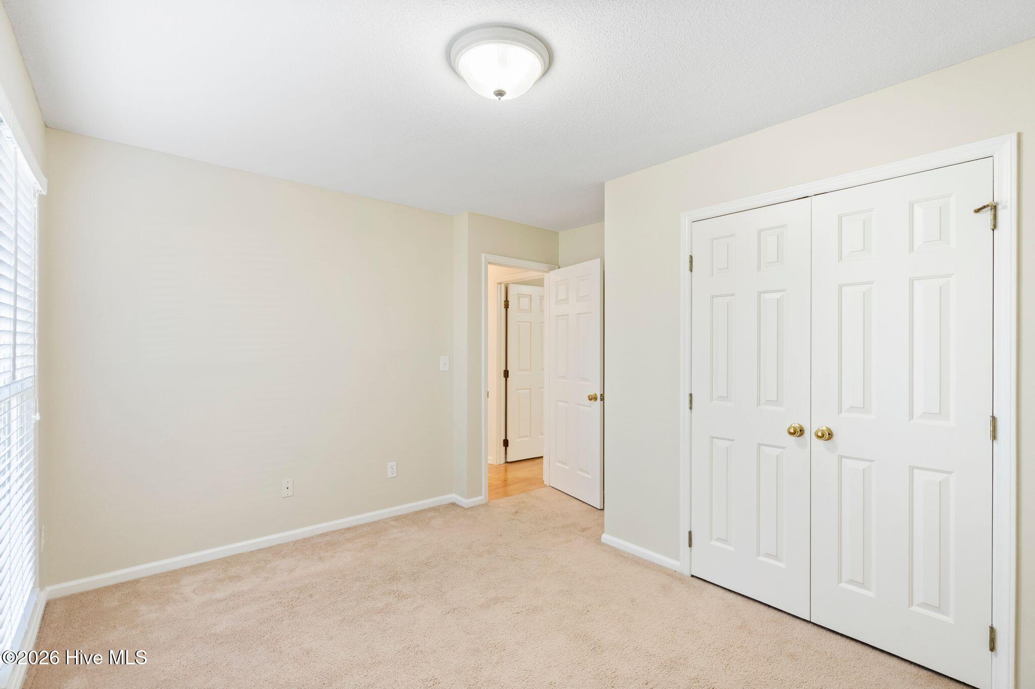 100556381 | Photo 37