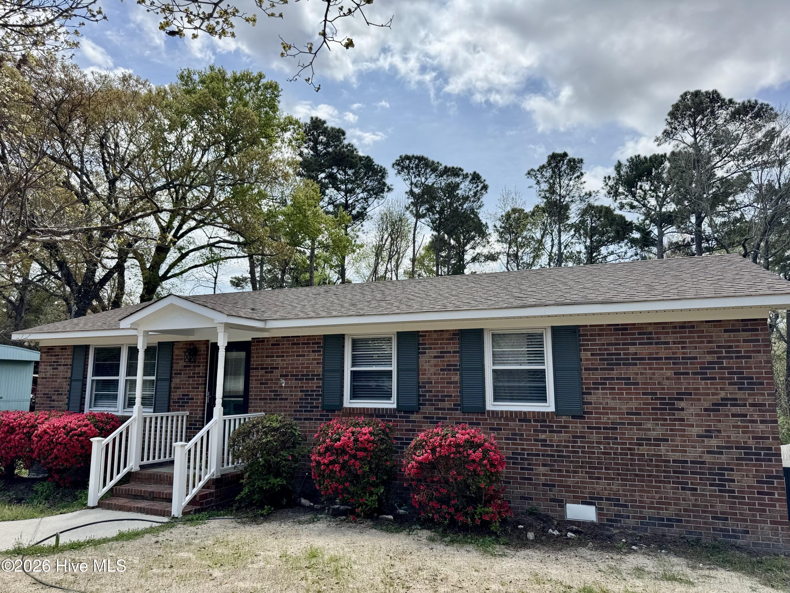 100539021 | Photo 14