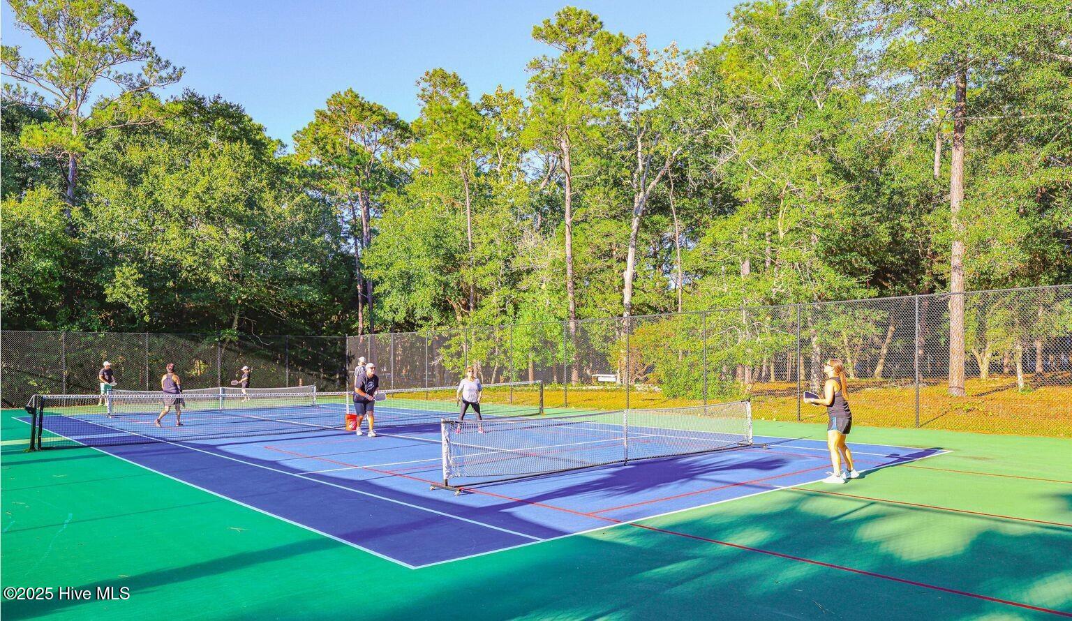 100533766 | Photo 11