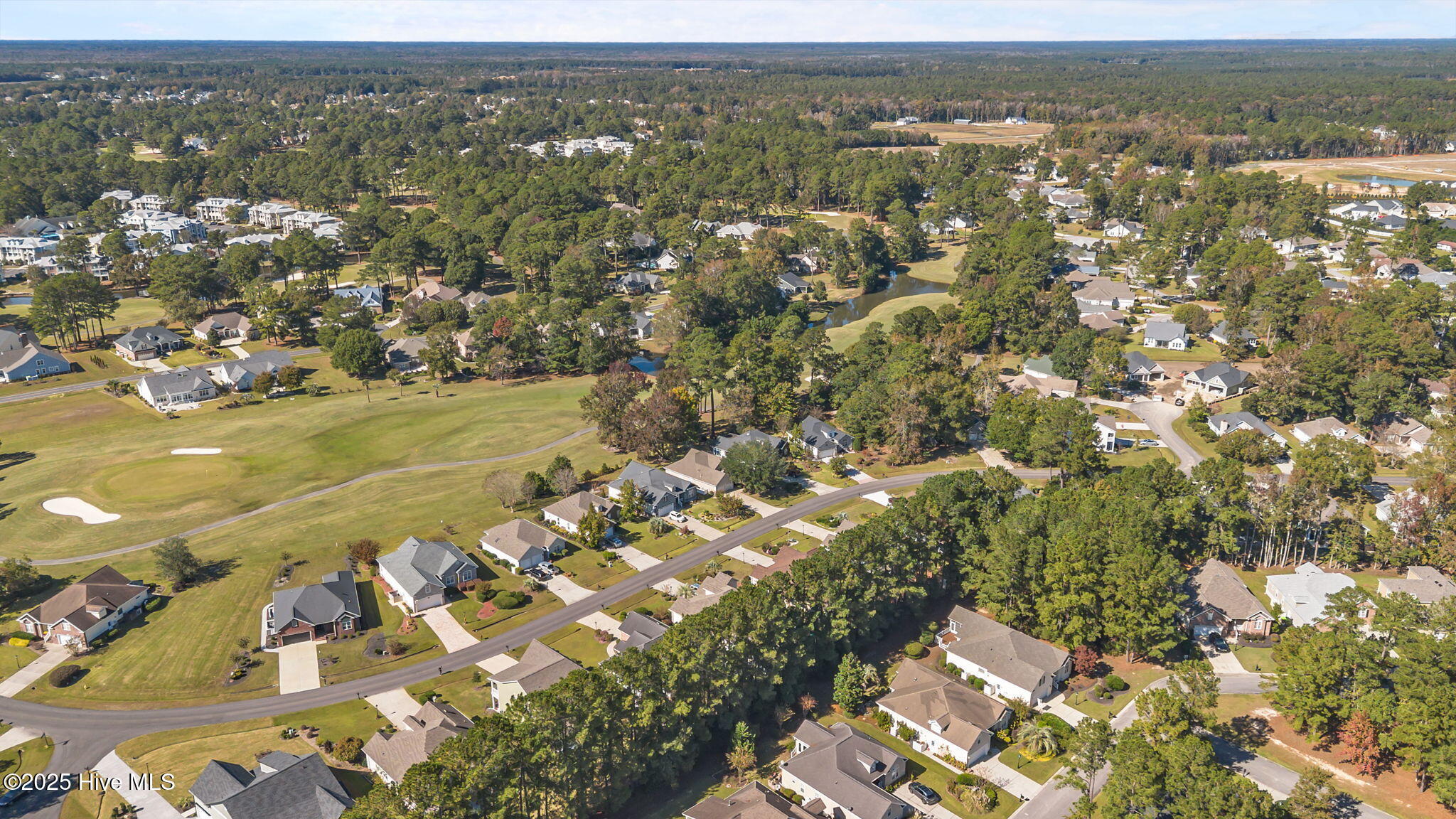 100539449 | Photo 40