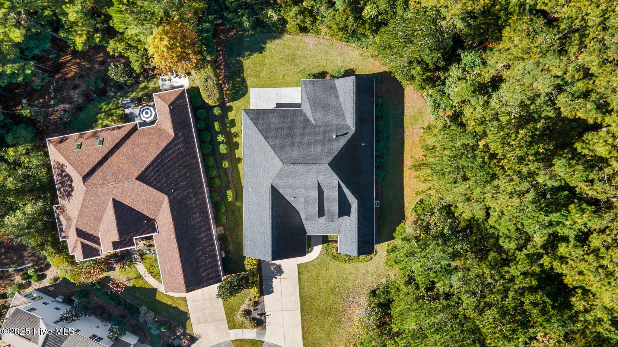 100542044 | Photo 53