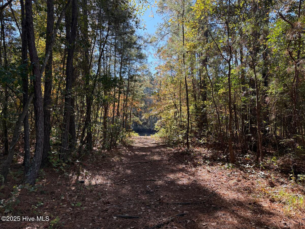 100540348 | Photo 25