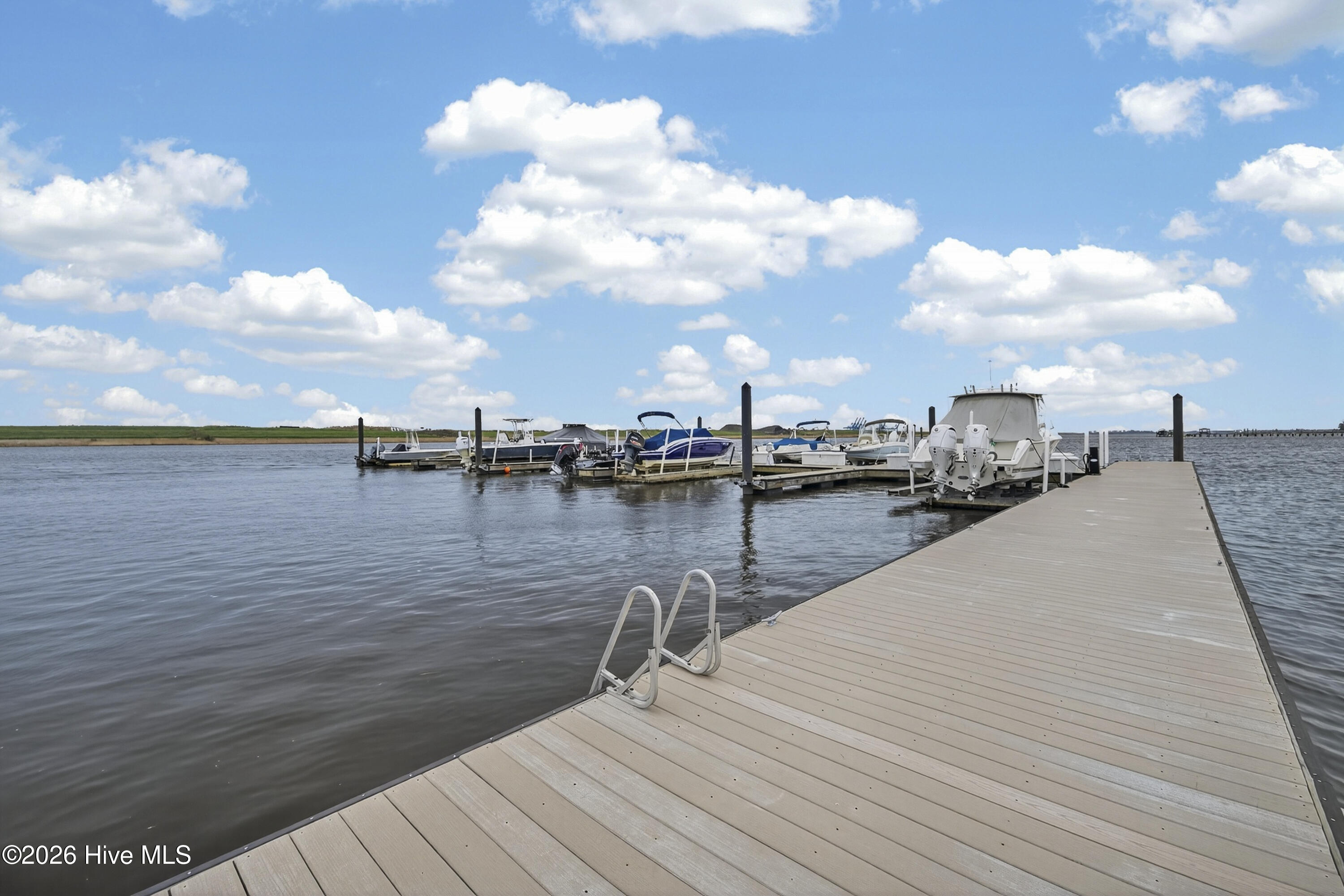 100558263 | Photo 43