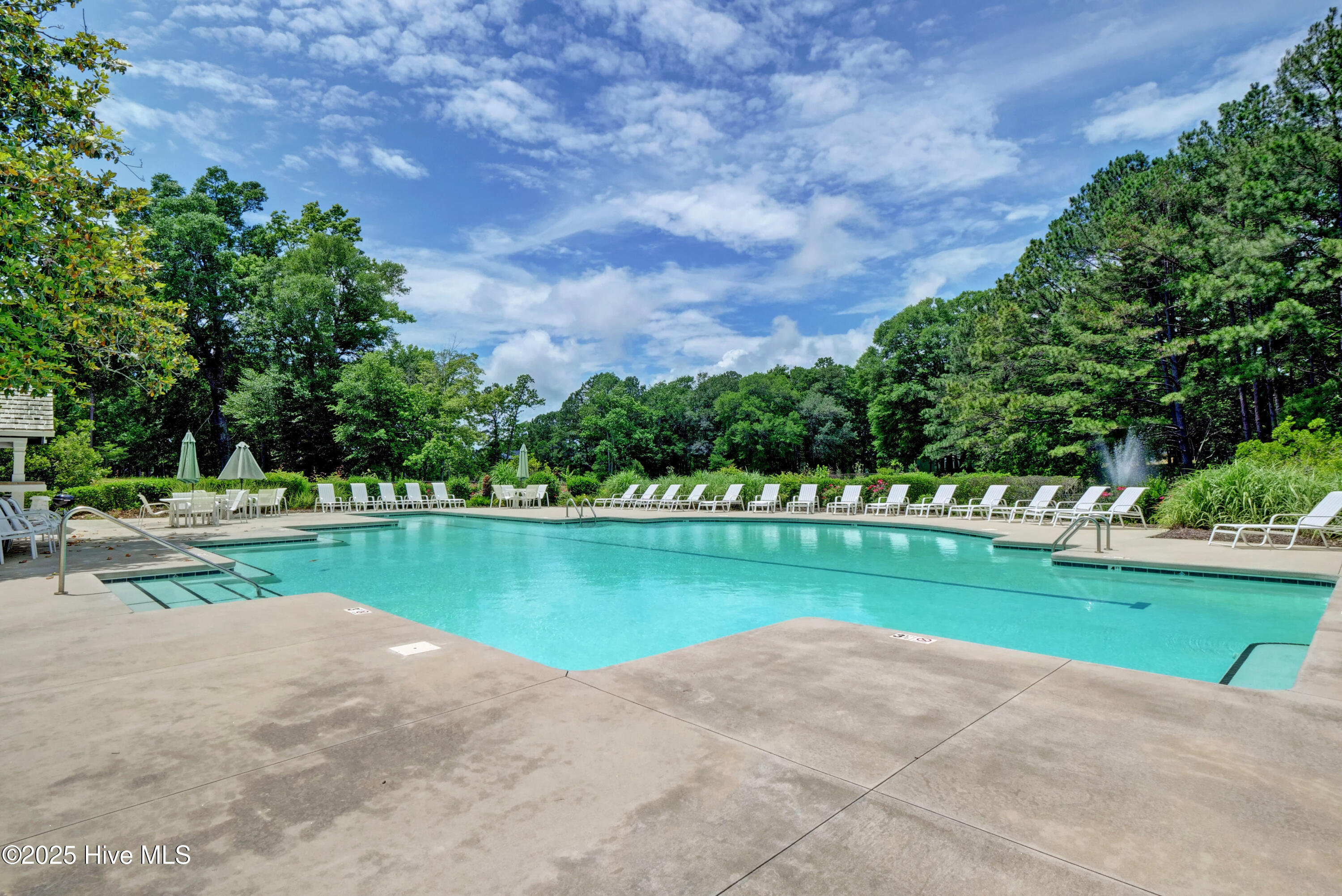 100517426 | Photo 64