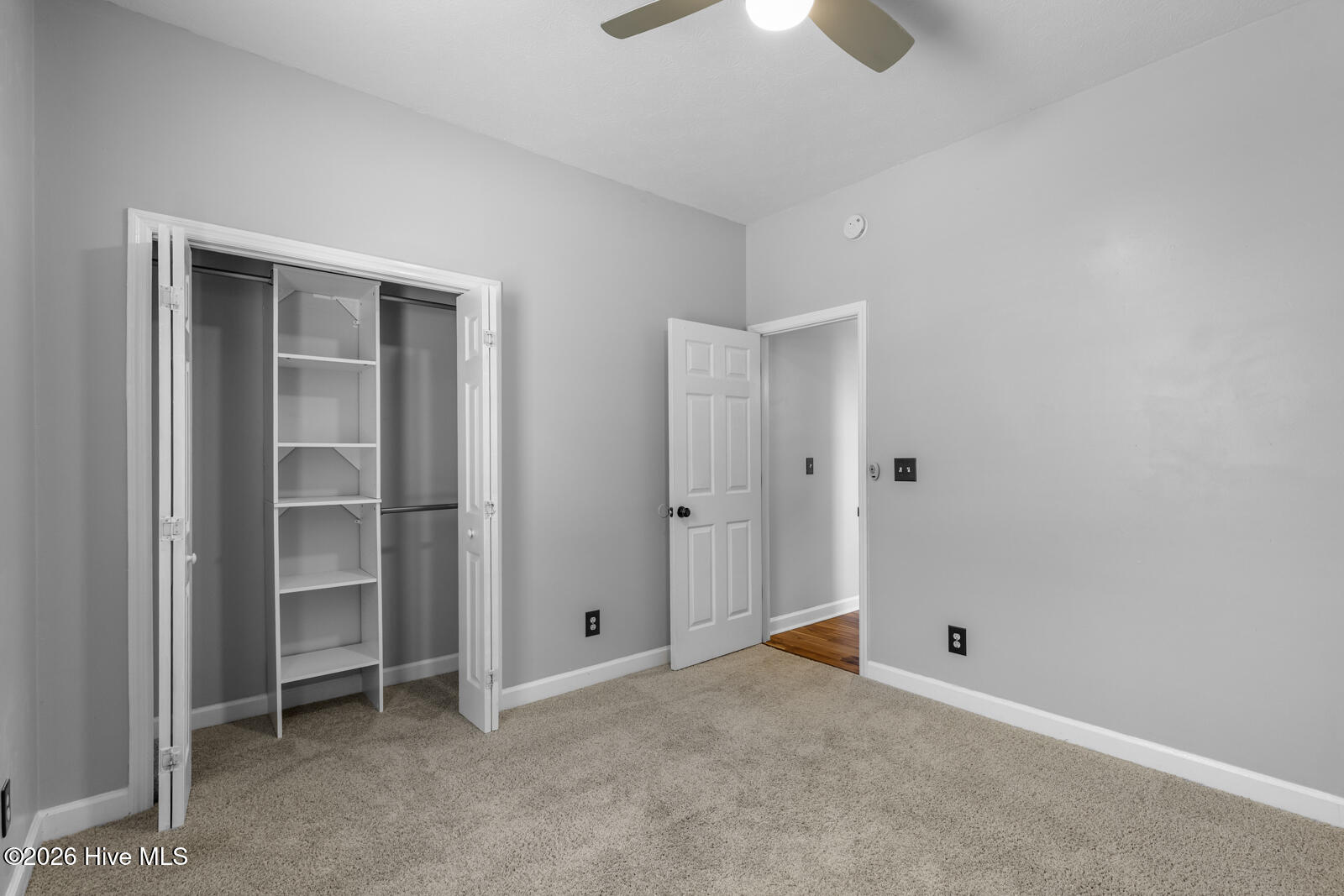 100563110 | Photo 38