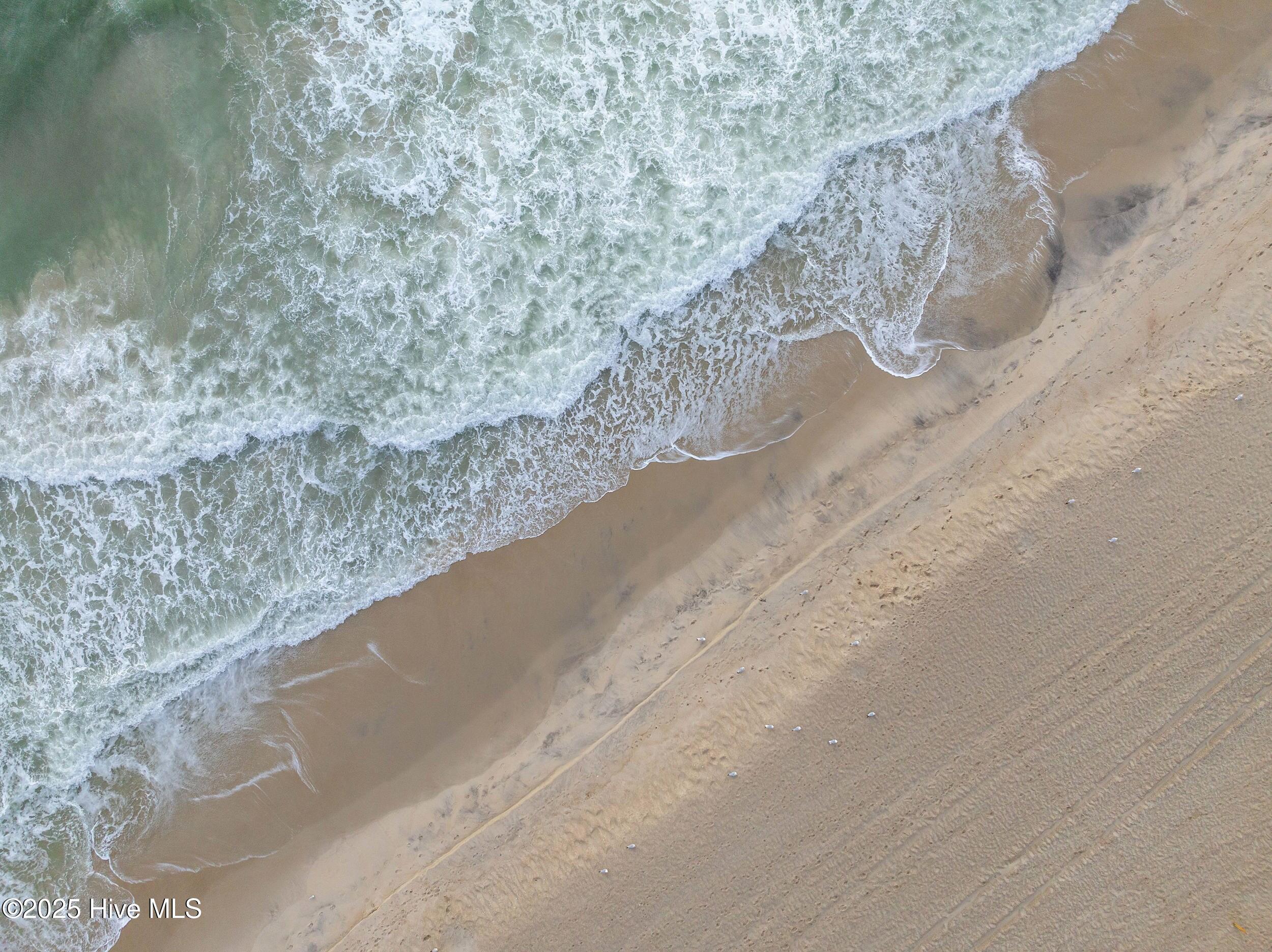 100516351 | Photo 33