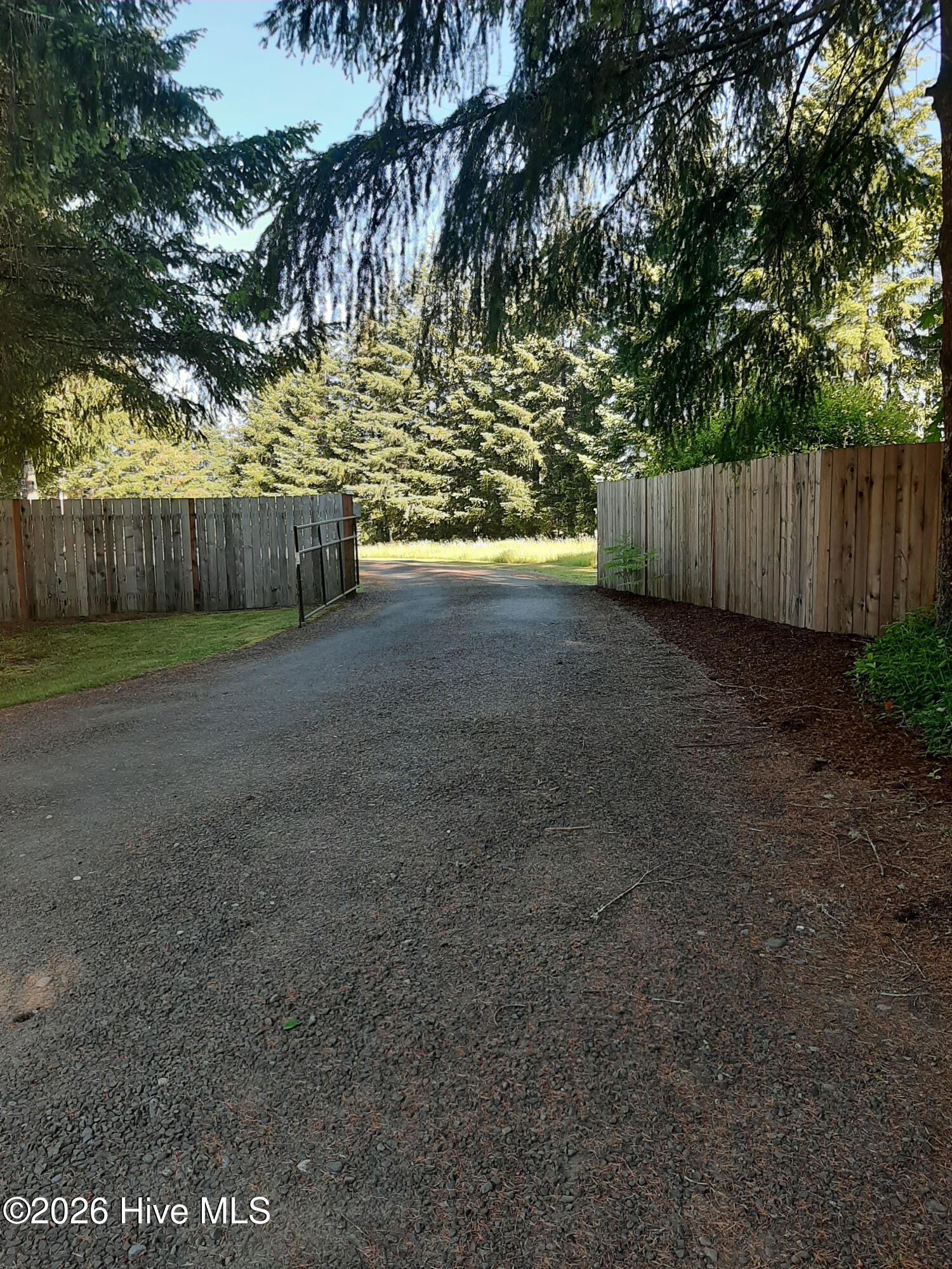 100584457 | Photo 30