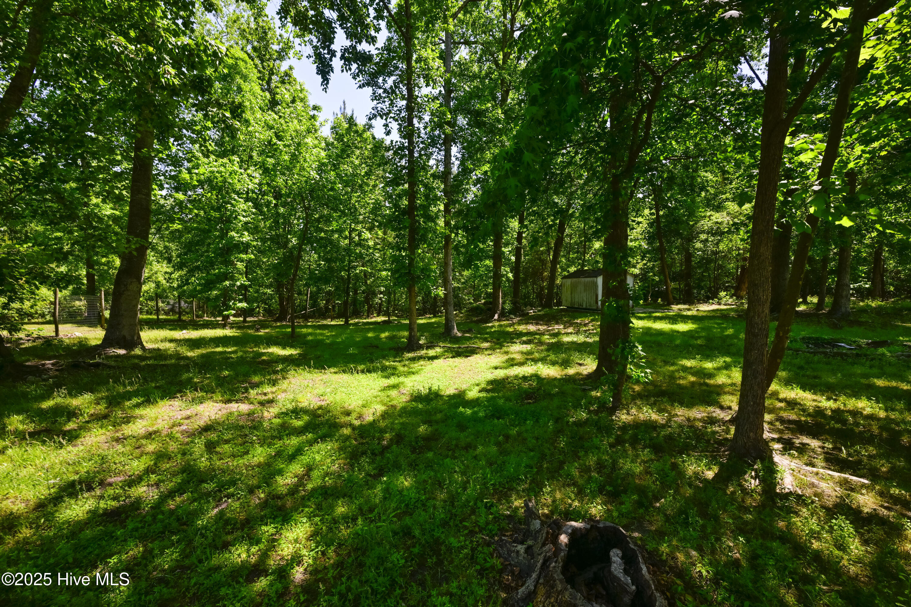 100543665 | Photo 38