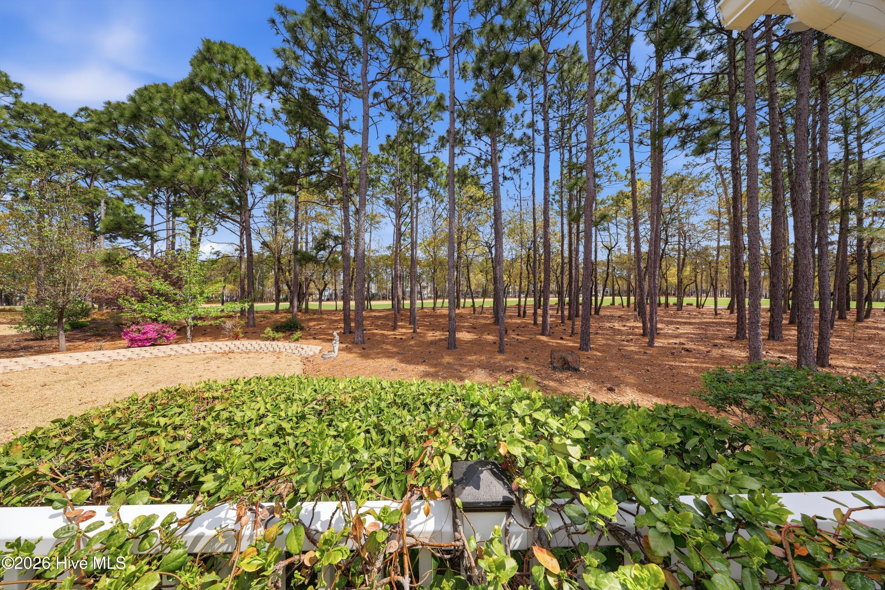 100564679 | Photo 14