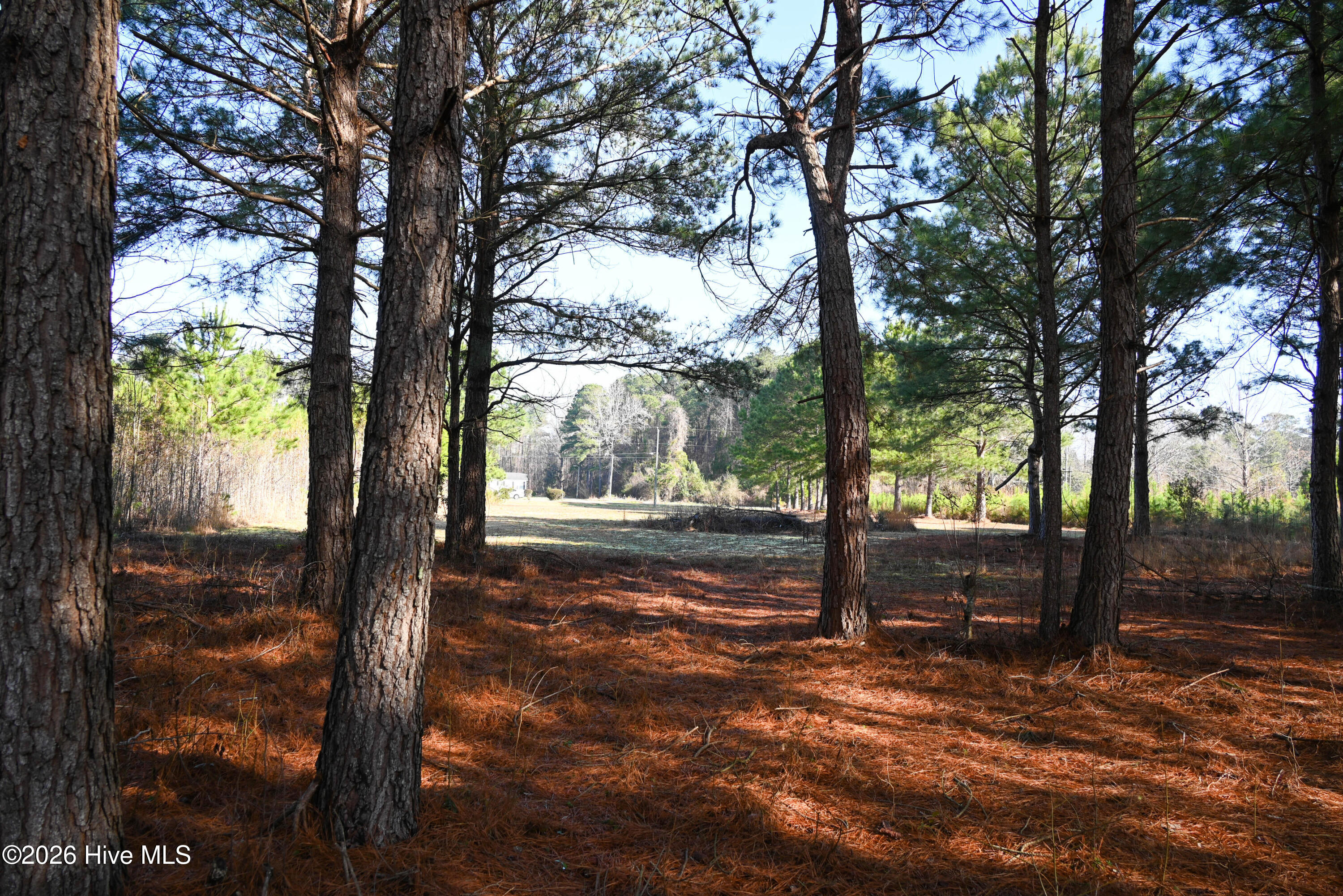 100560038 | Photo 17