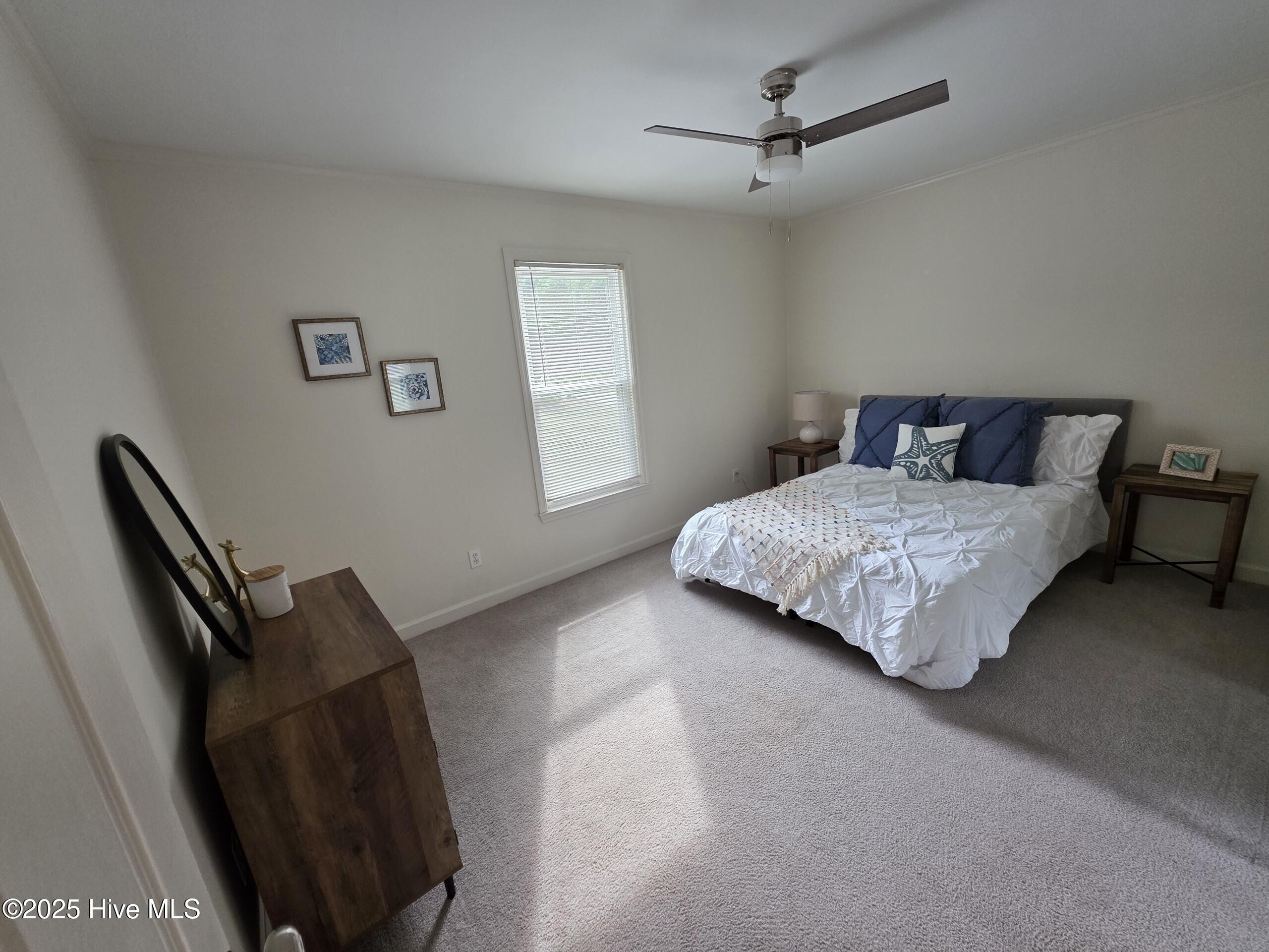 100500123 | Photo 27