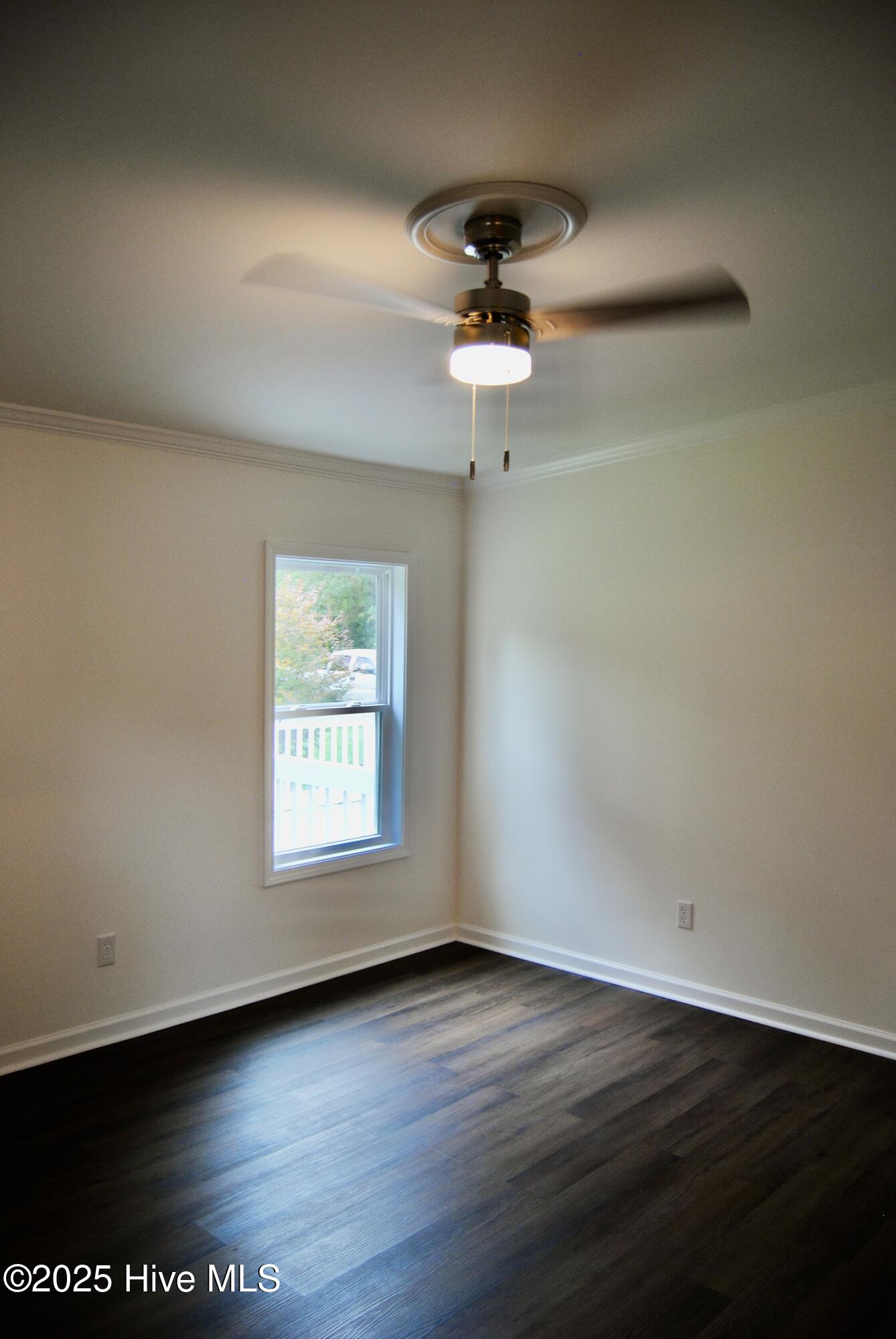 100533223 | Photo 34