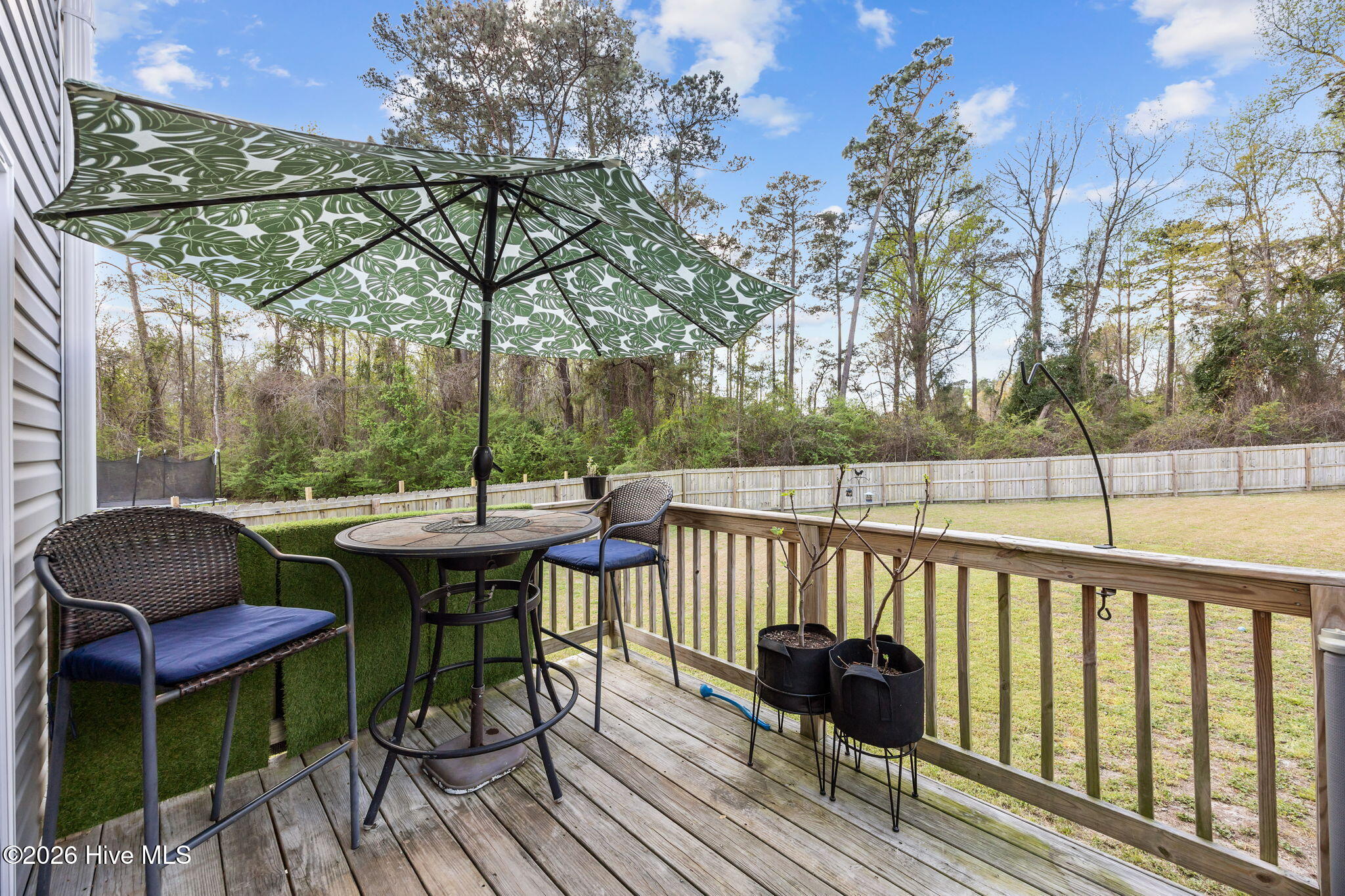 100564221 | Photo 34