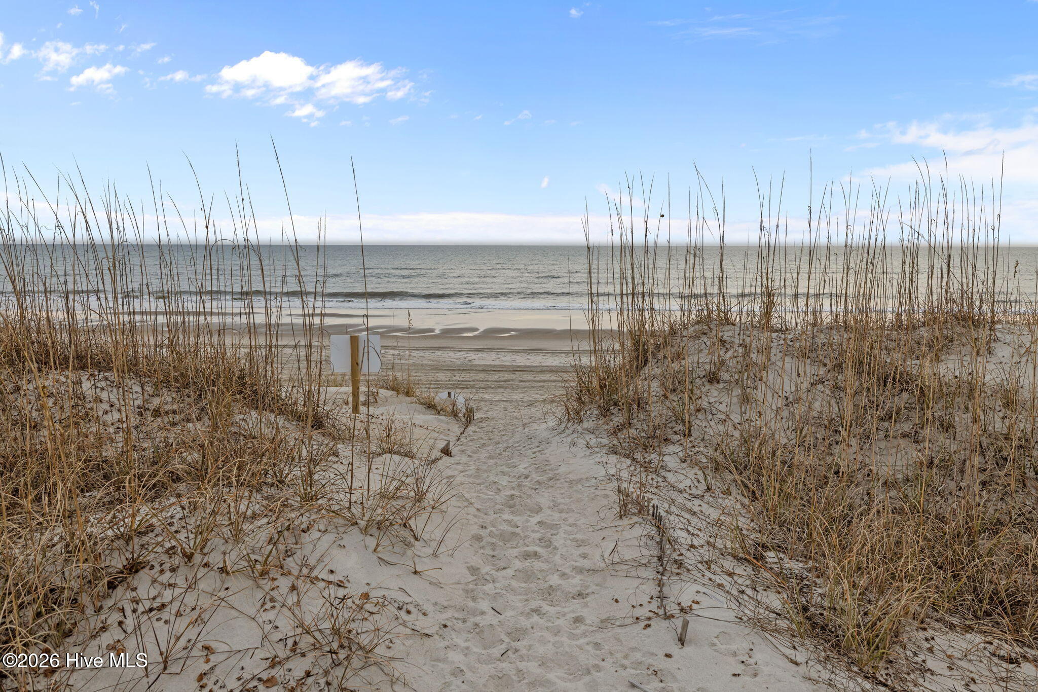 100548451 | Photo 30