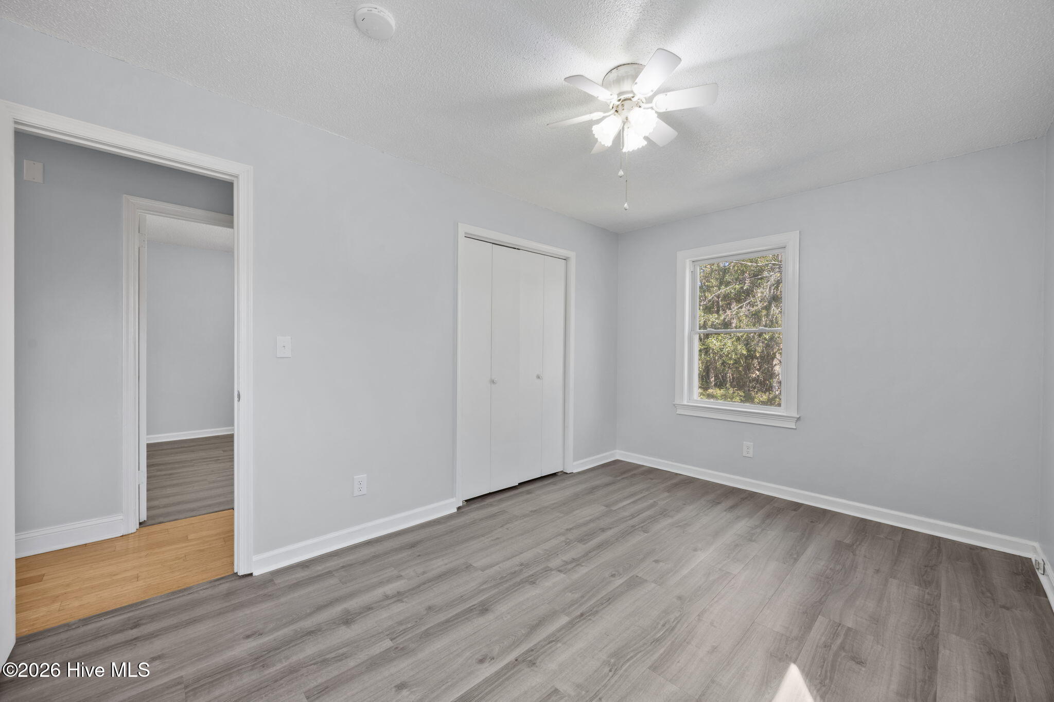 100554727 | Photo 24