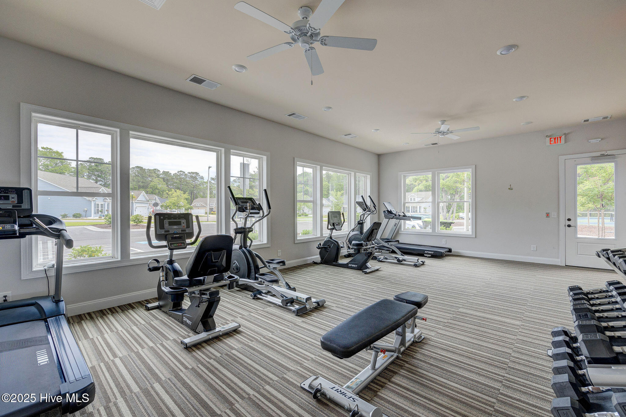 100506096 | Photo 42