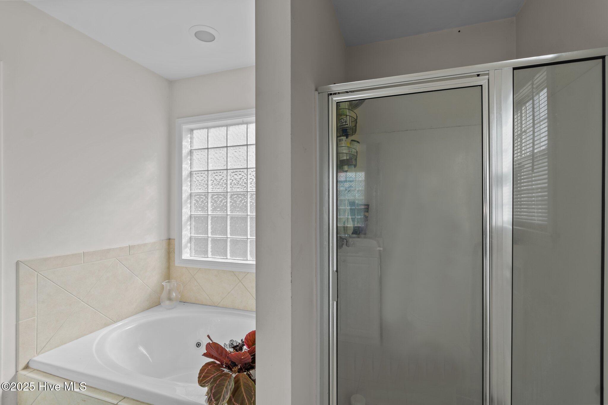 100504598 | Photo 18