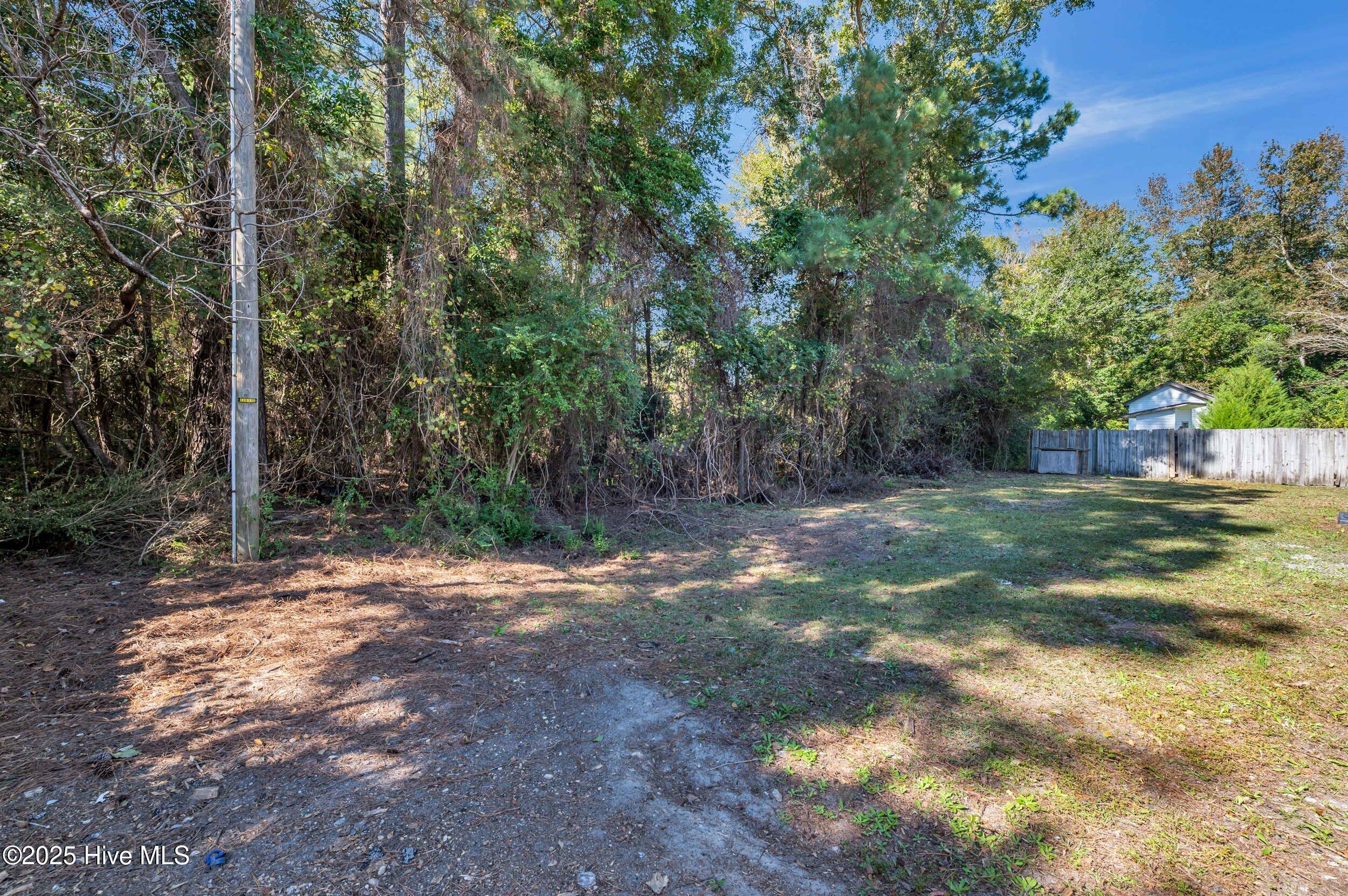 100537277 | Photo 36