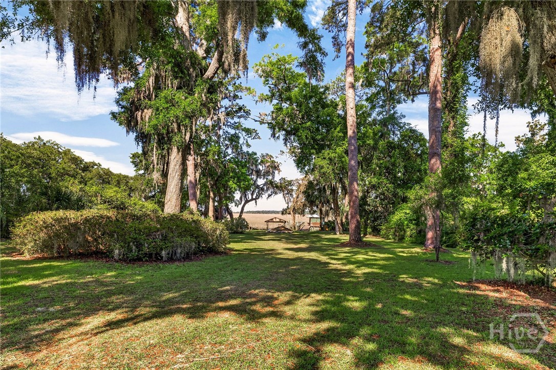 Azalea Farm