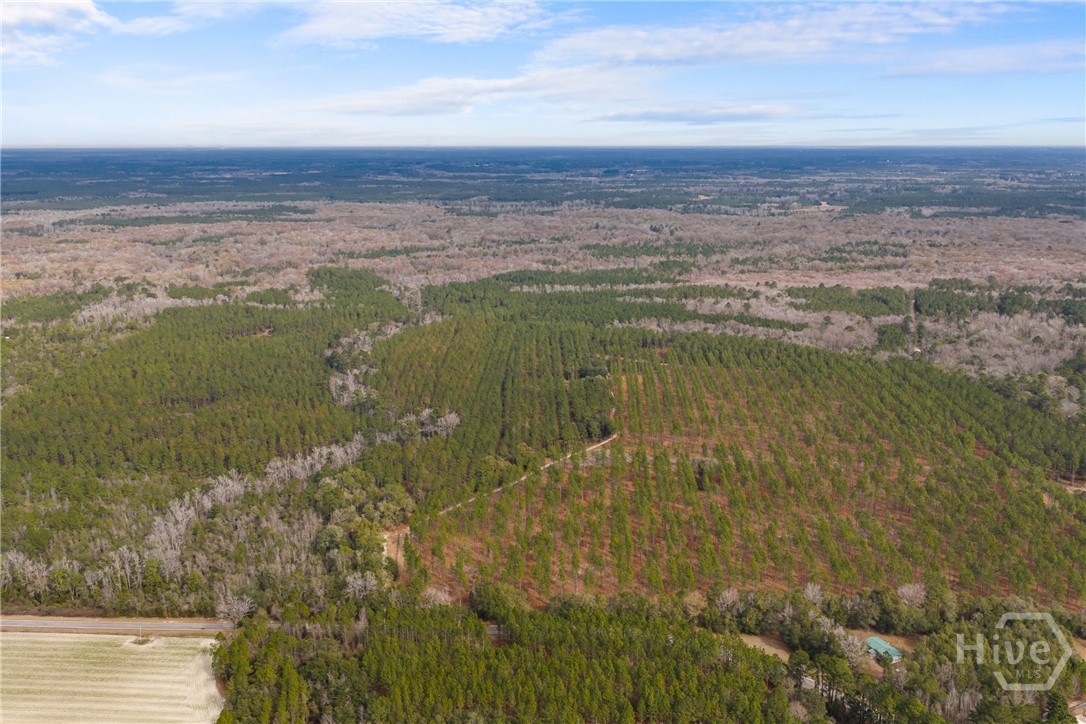 1000 Old River Road S, Brooklet, GA, 30415