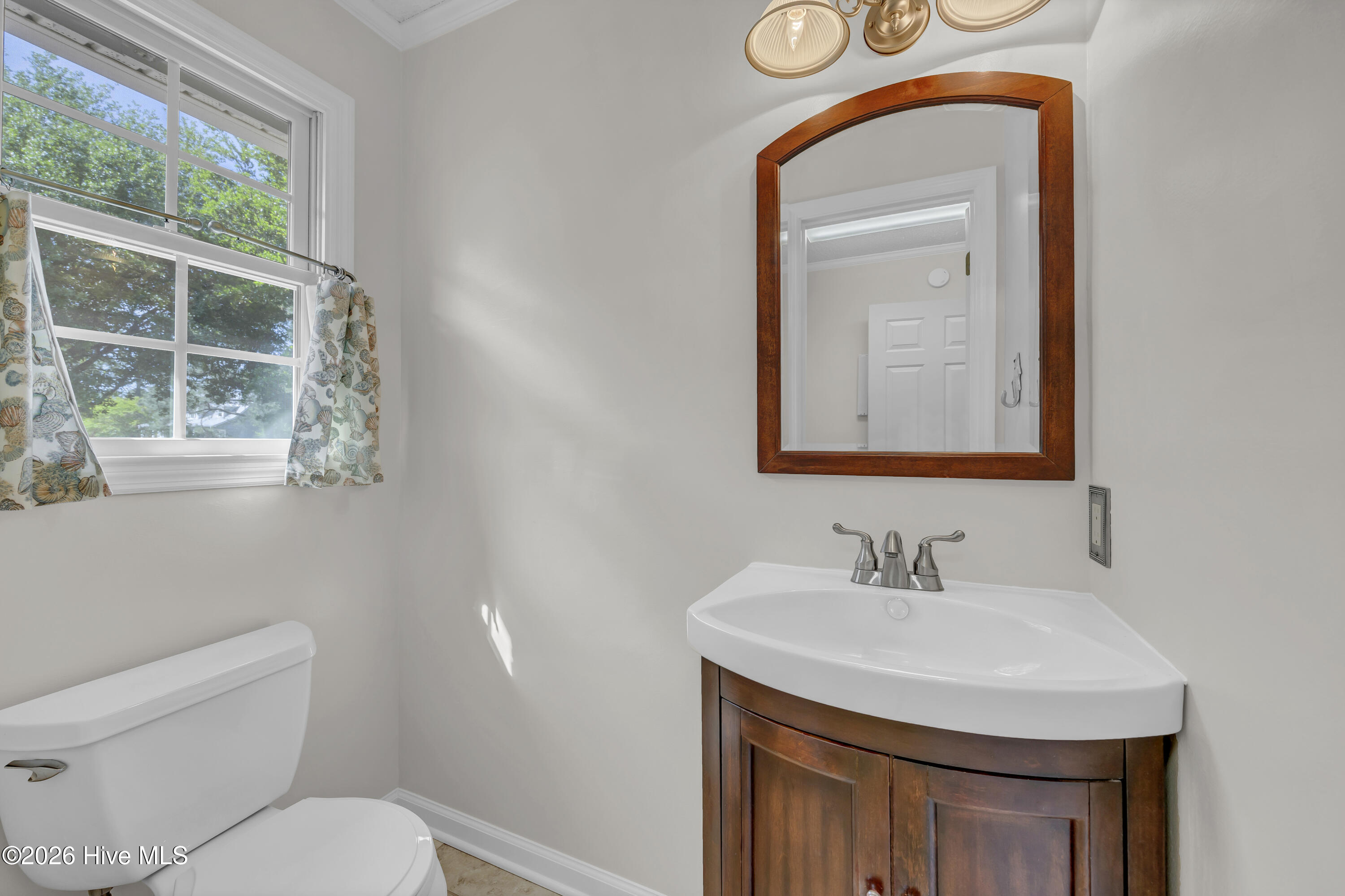 100567134 | Photo 23